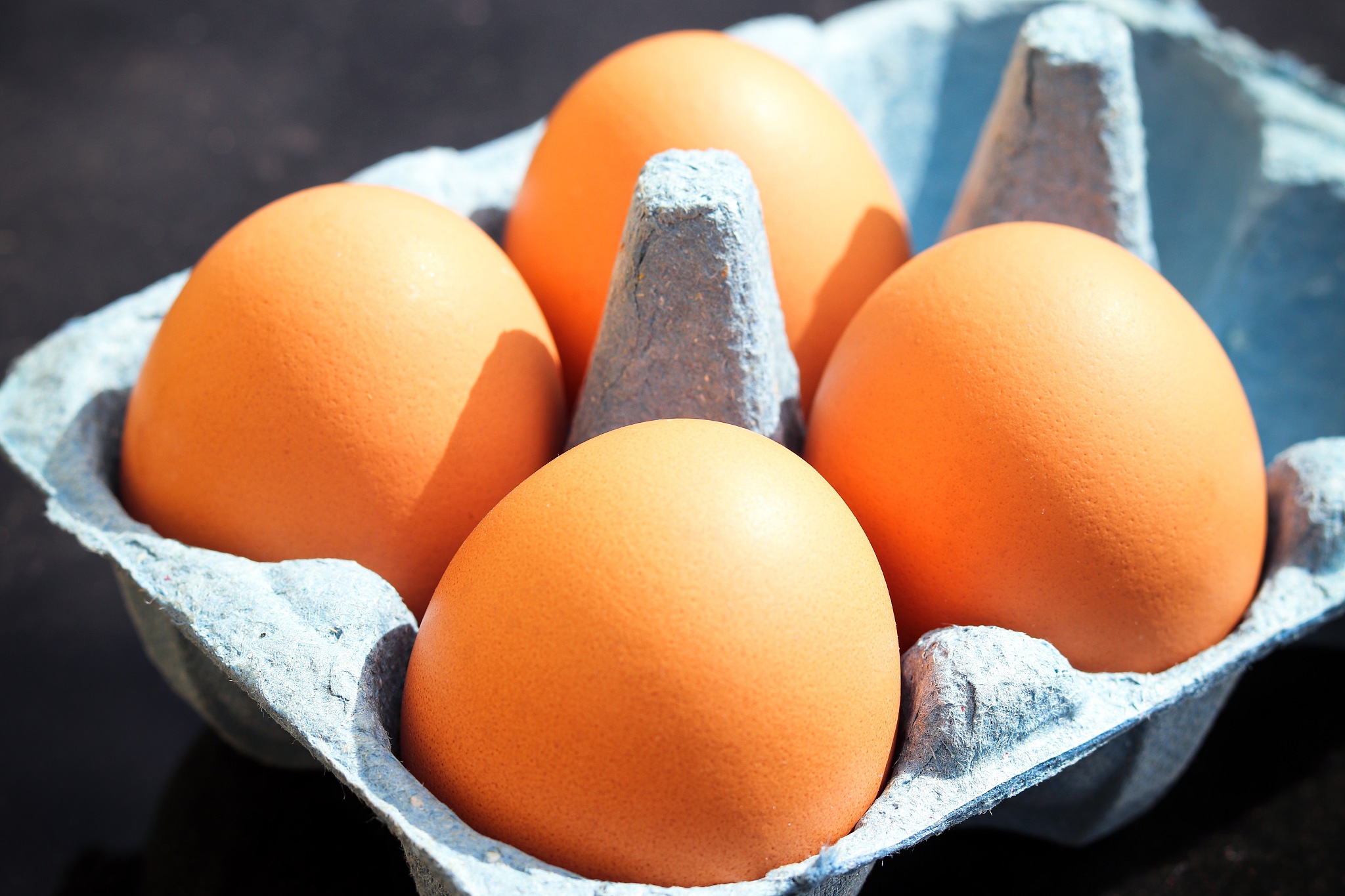 fresh chicken eggs