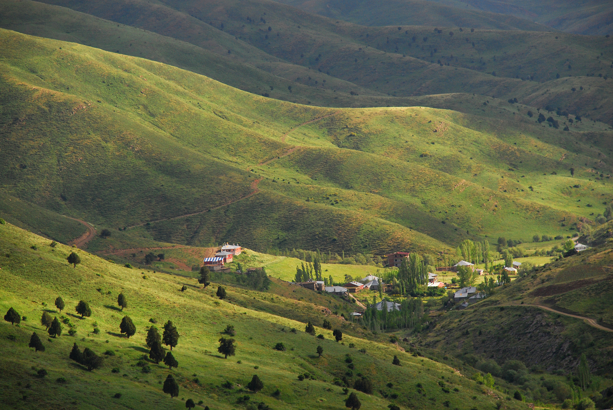mountains