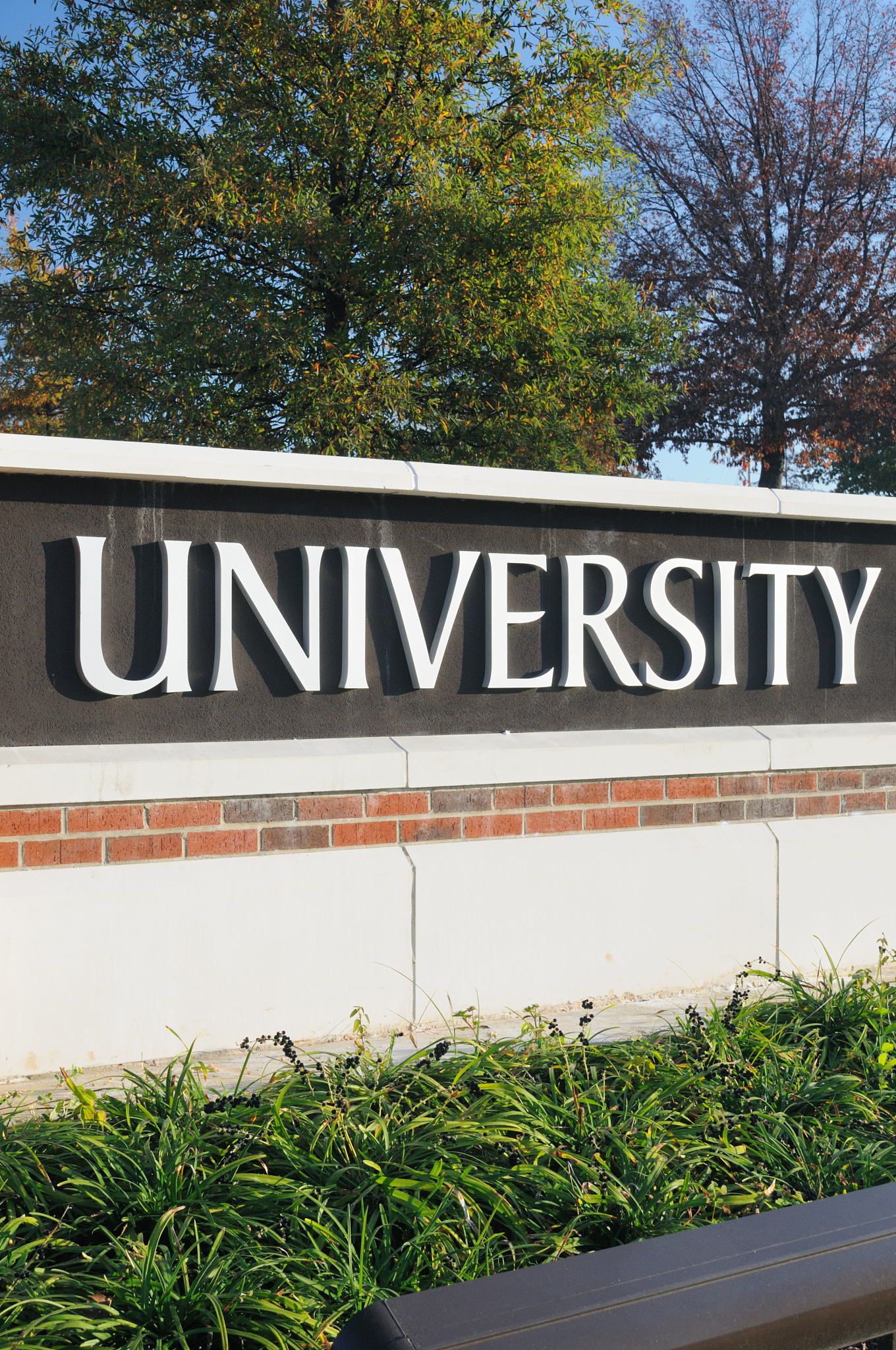 university sign with tree