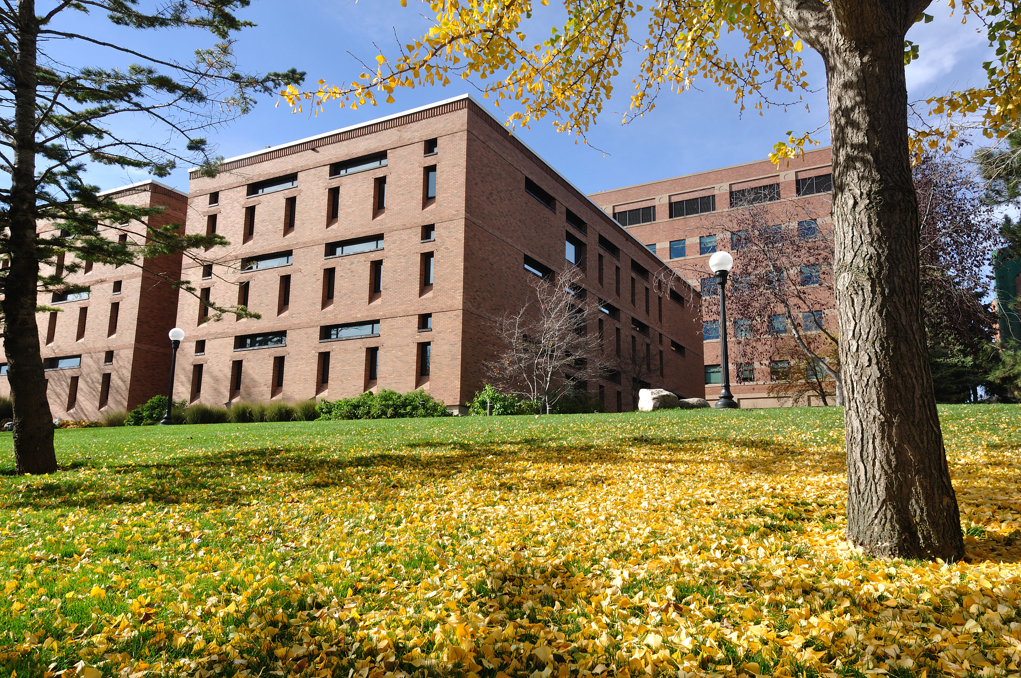 brick building on university campus