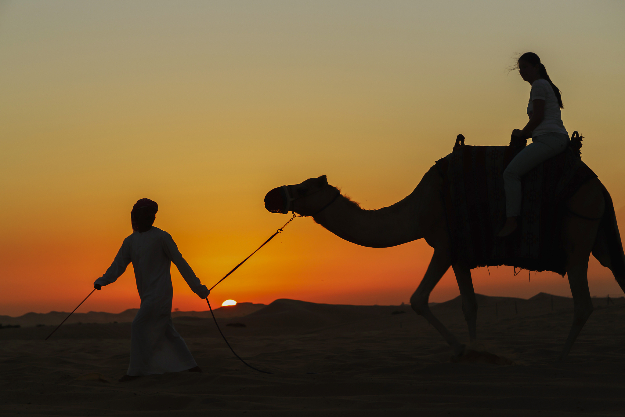 编写奶奶与骆驼玩耍的短句1 奶奶和骆驼一起玩耍好开心！2 奶奶摸着骆驼的鼻子笑得很开心。3 骆驼在奶奶身边蹦跶奶奶也跟着笑起来。4 奶奶和骆驼一起散步享受着阳光和大自然。5 奶奶给骆驼喂食骆驼非常亲近奶奶。6 奶奶坐在骆驼背上感觉自己像个探险家。7 骆驼和奶奶玩起了捉迷藏奶奶笑得合不拢嘴。8 奶奶和骆驼一起看日落享受着美好的时光。9 骆驼在奶奶的身边踱步好像在陪伴奶奶散步。10 奶奶和骆驼一起欣赏