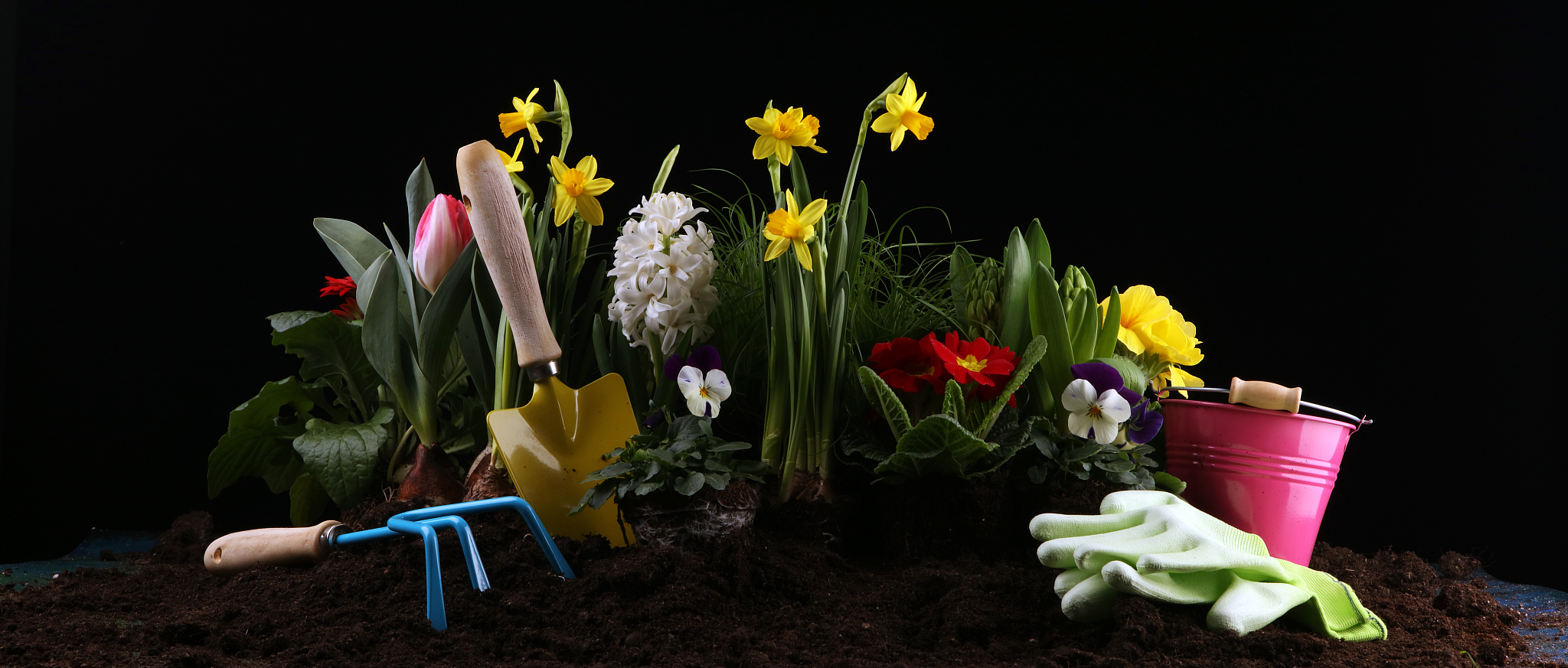 遵义重美职业技术学校园艺专业好吗