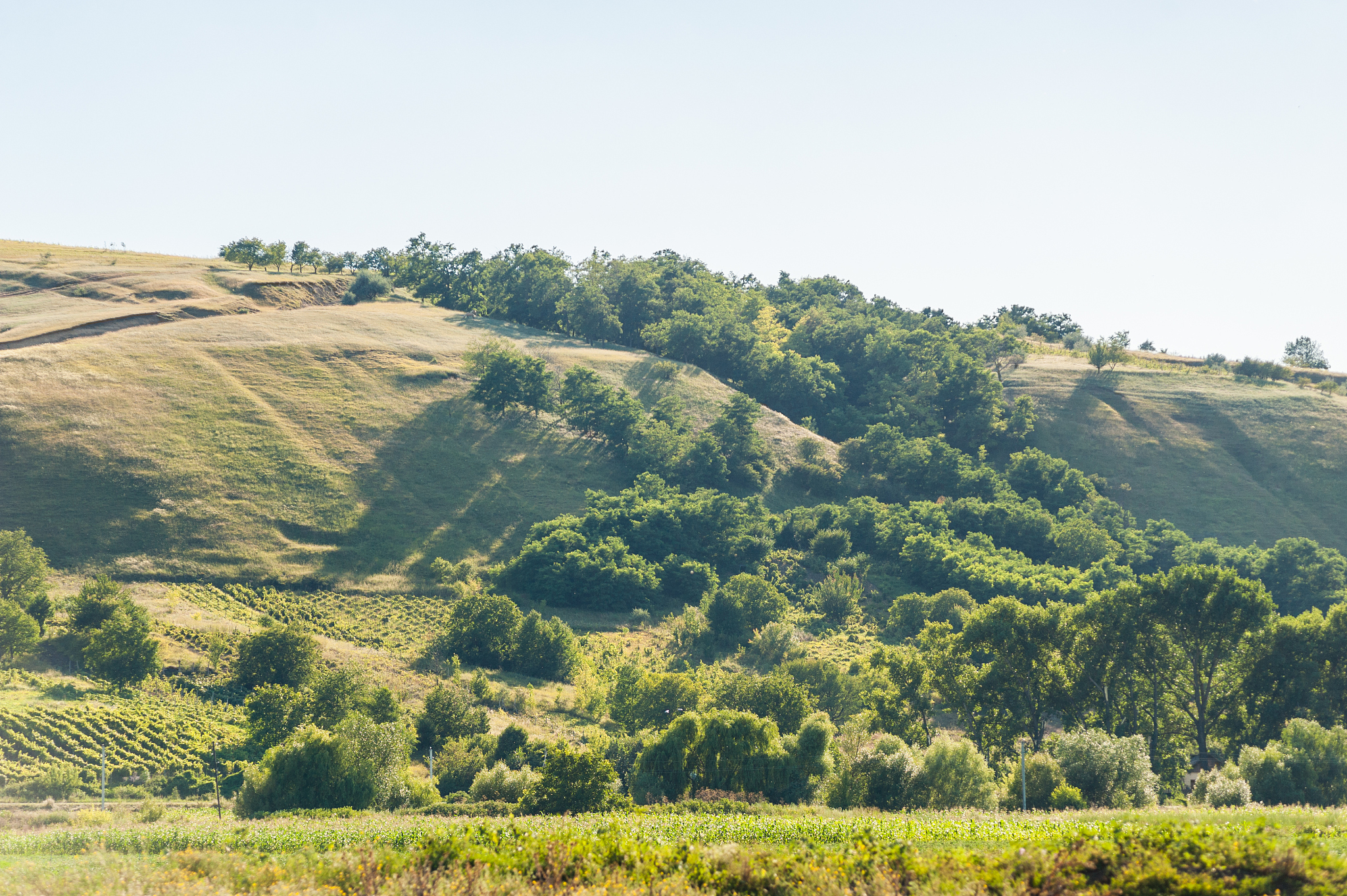 summer landscape in the mountains and hills, moldova