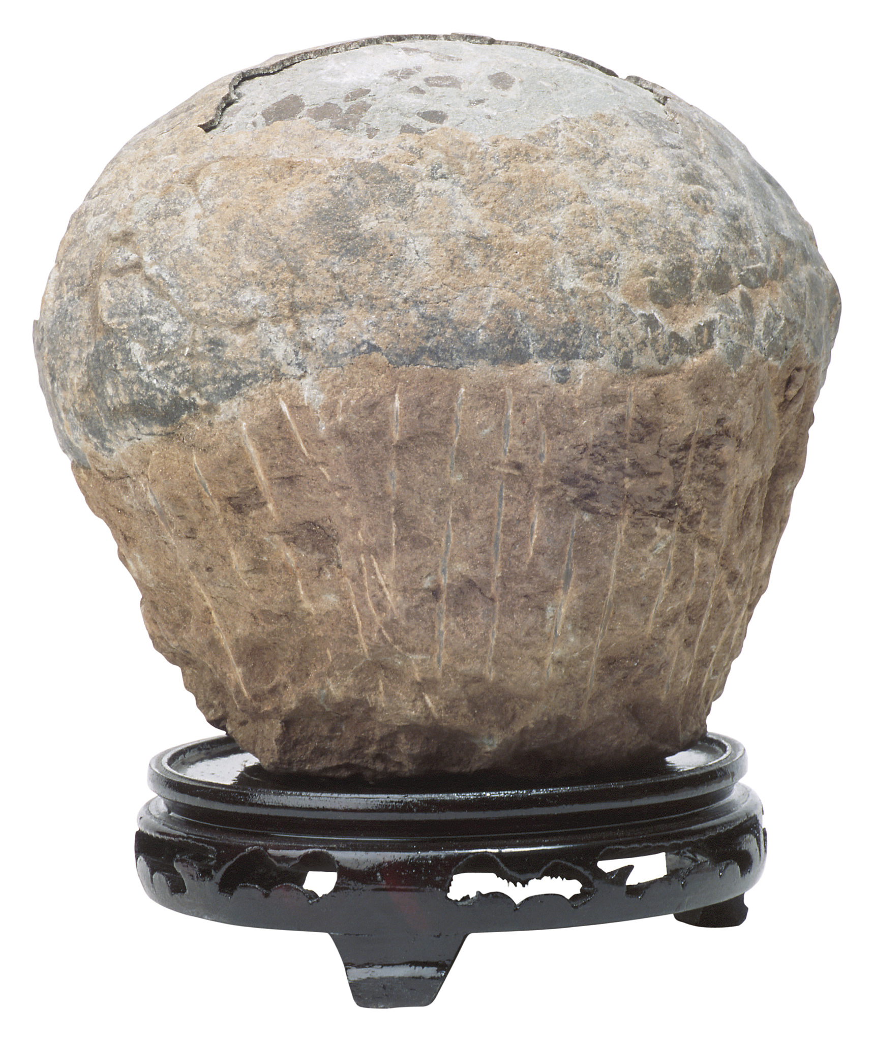 秦皇岛奇石艺术学校2021年有哪些专业