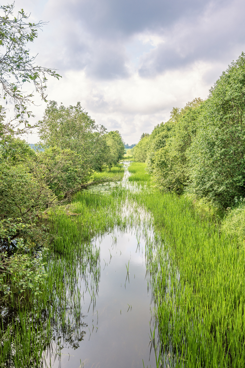 红树林的生态价值与功能作用