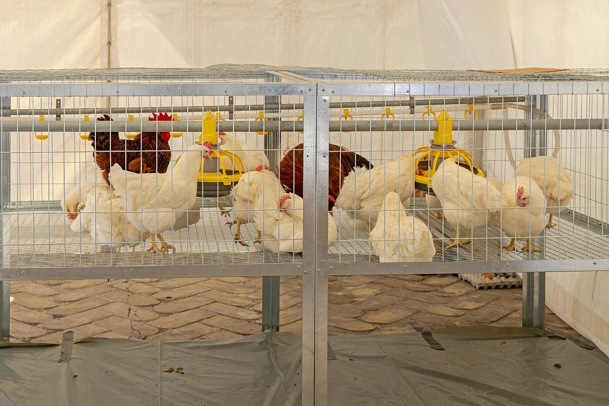 江门职业技术学院染整技术专业课程设置：全面解析课程内容