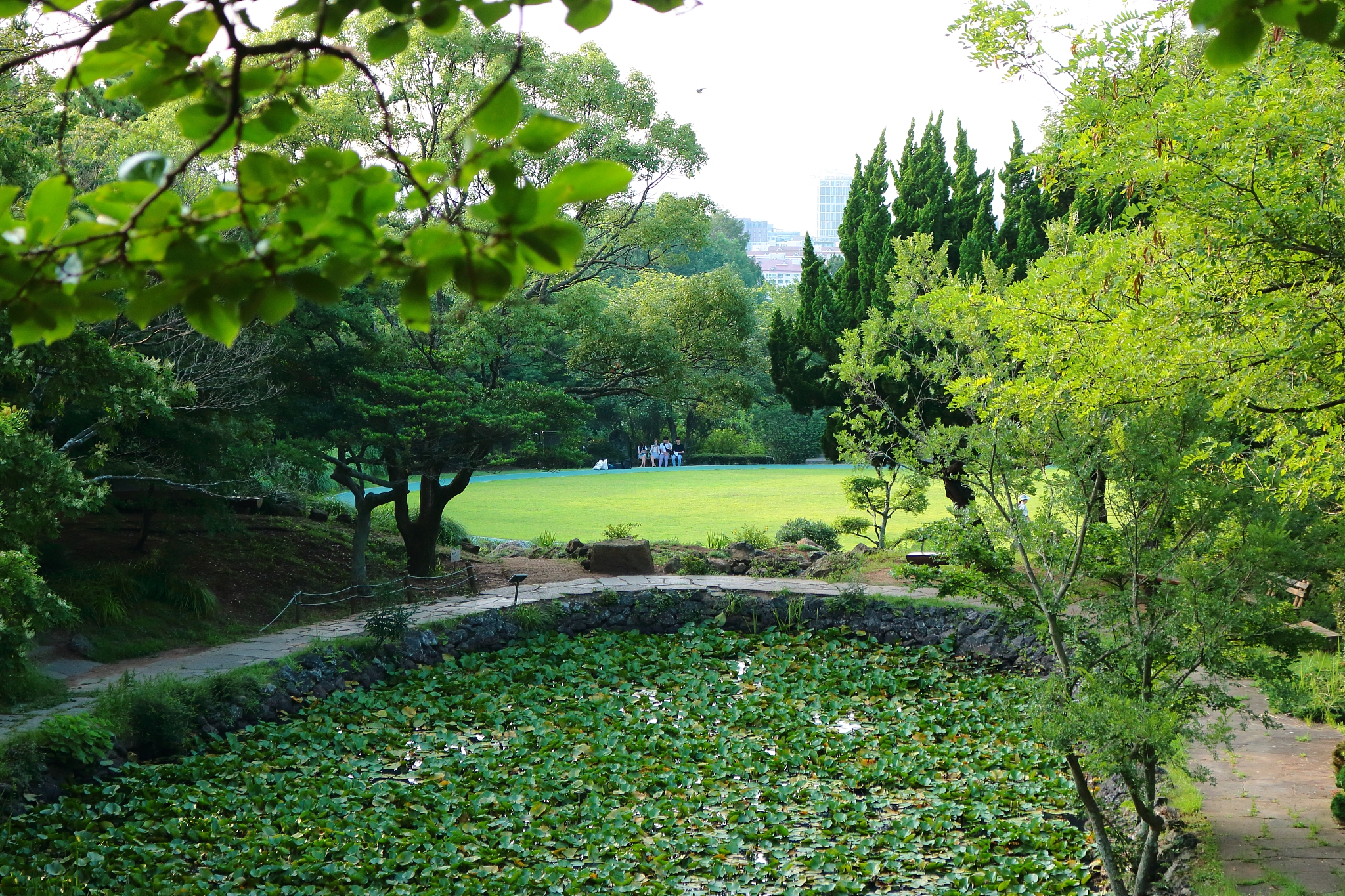 la arboretum, parks, forests, forest,