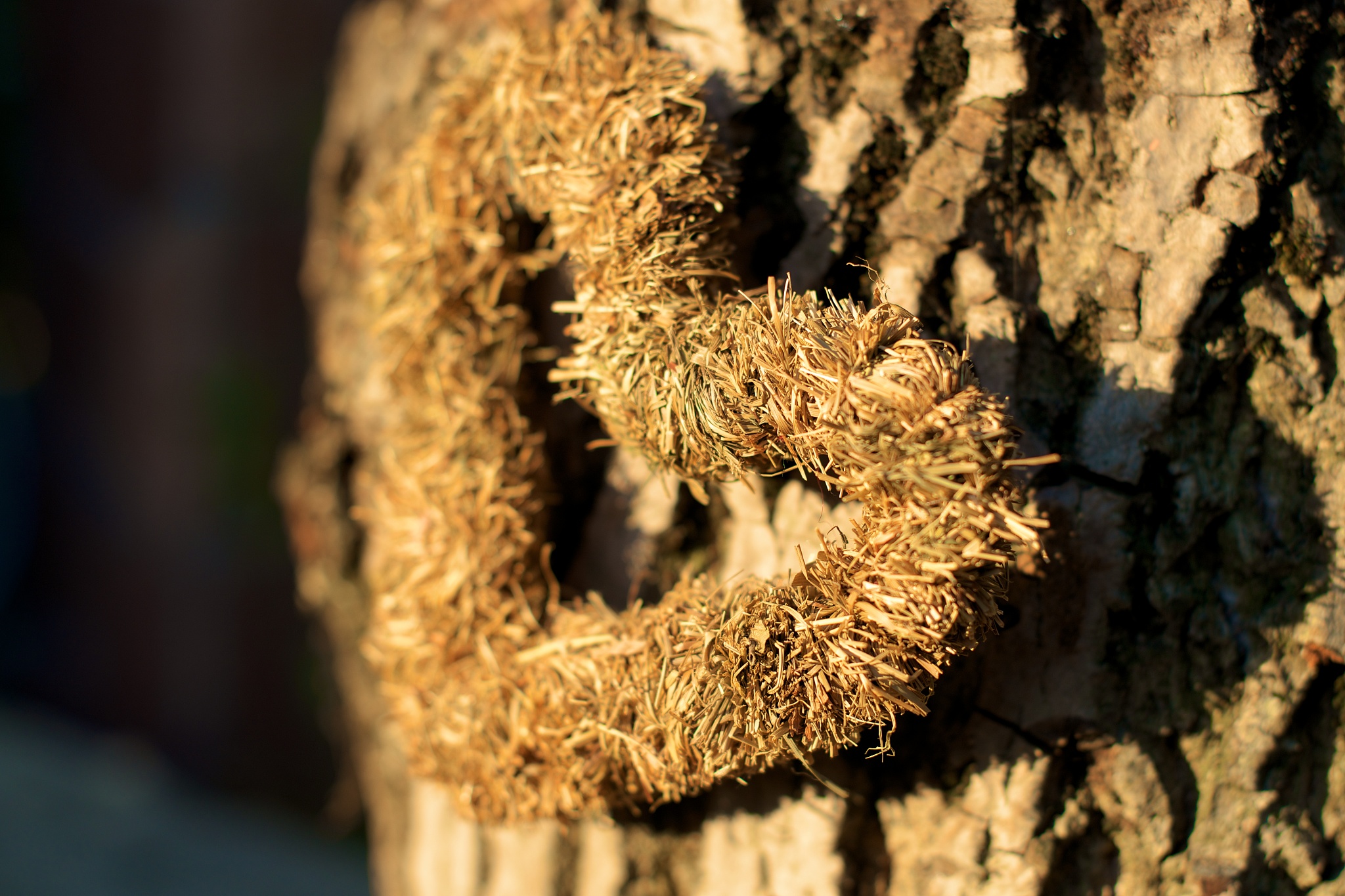 化妆品摄影指南：近五年必读推荐书籍