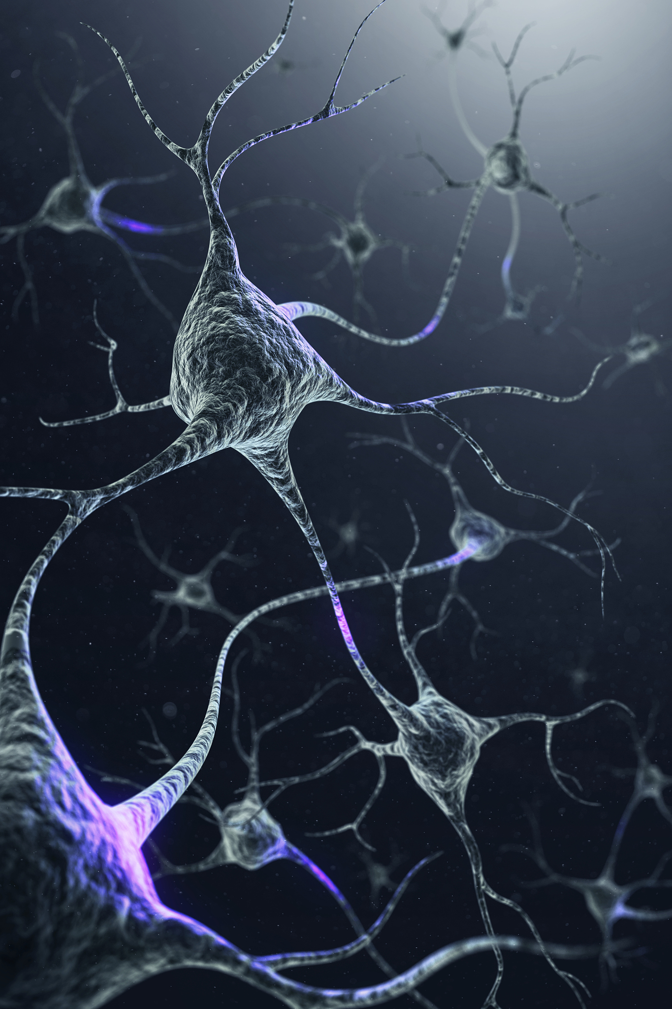 人脑信息处理速度：快而复杂