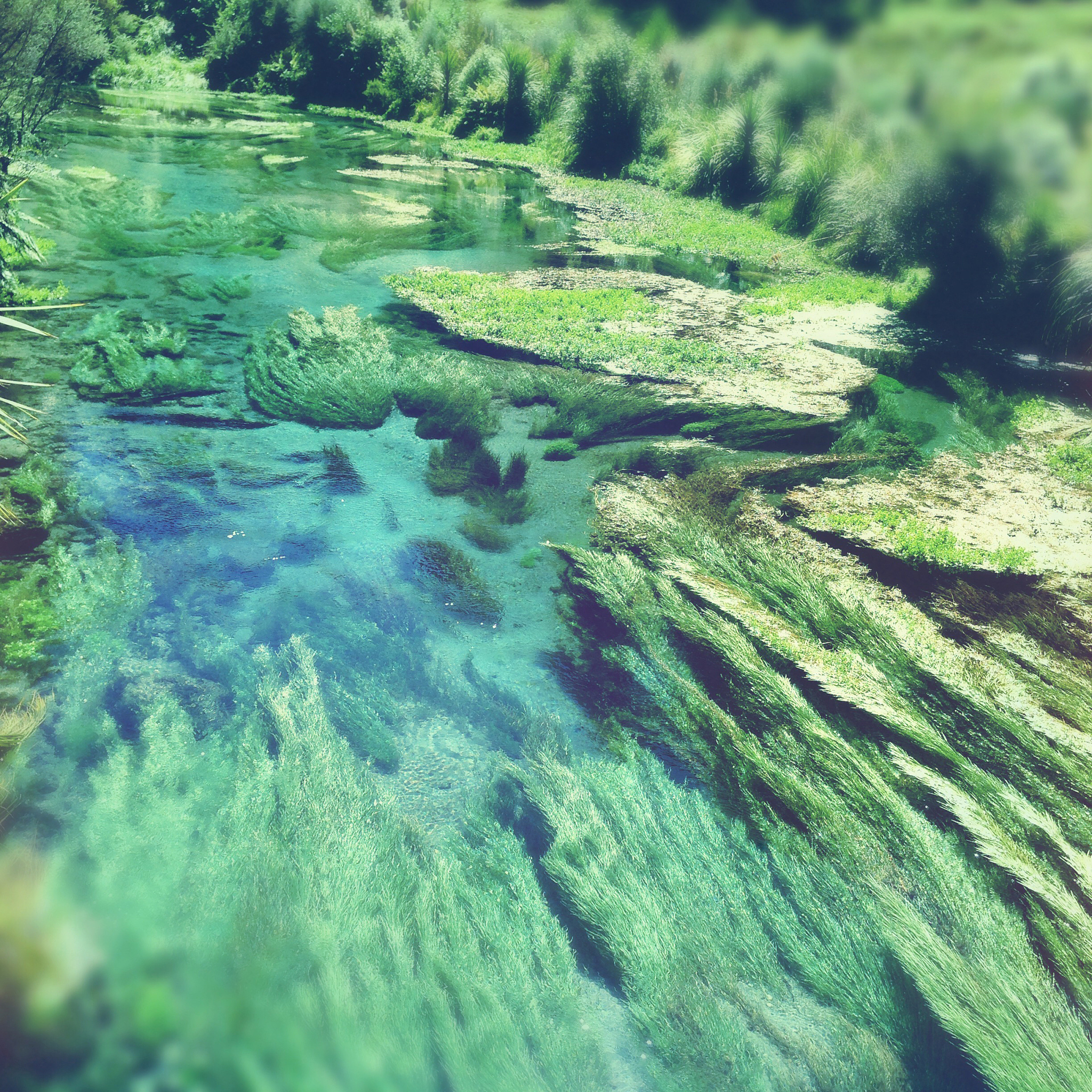 spring water