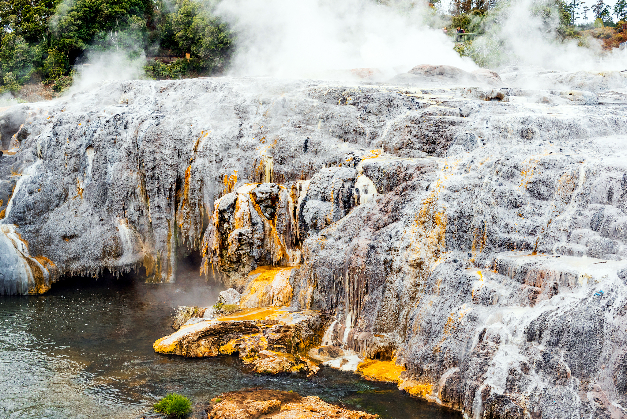 hot springs in te puia, rotorua in new zealand on the north isla
