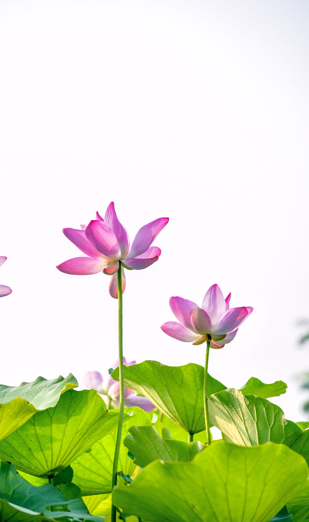 濮阳职业技术学院音乐教育专业涉及哪些课程