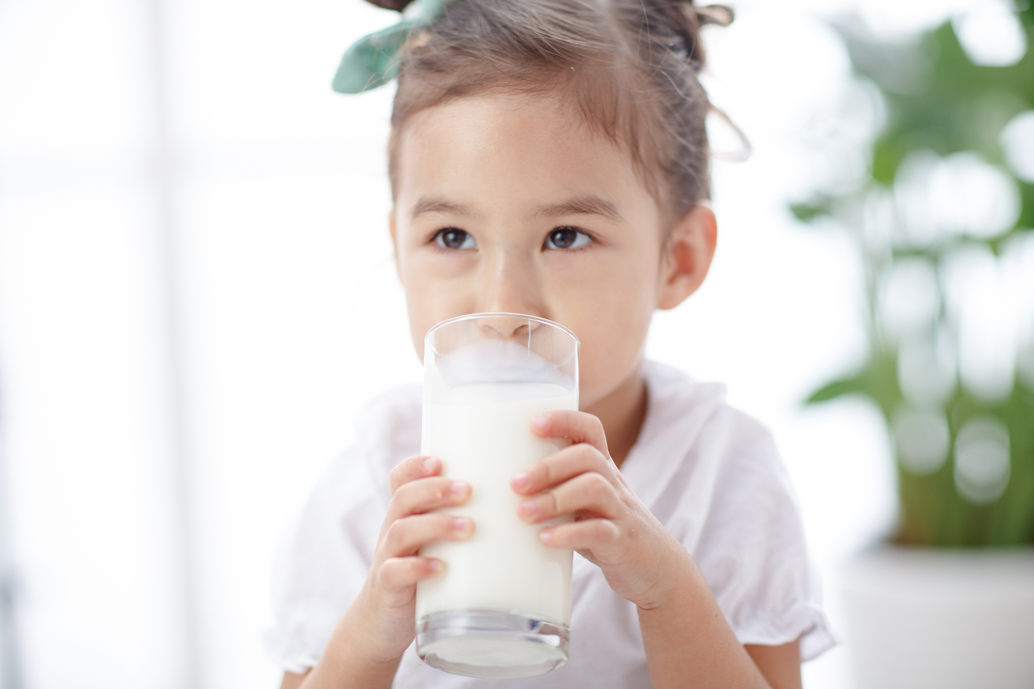 一岁宝宝可以喝纯牛奶吗？专家解答！