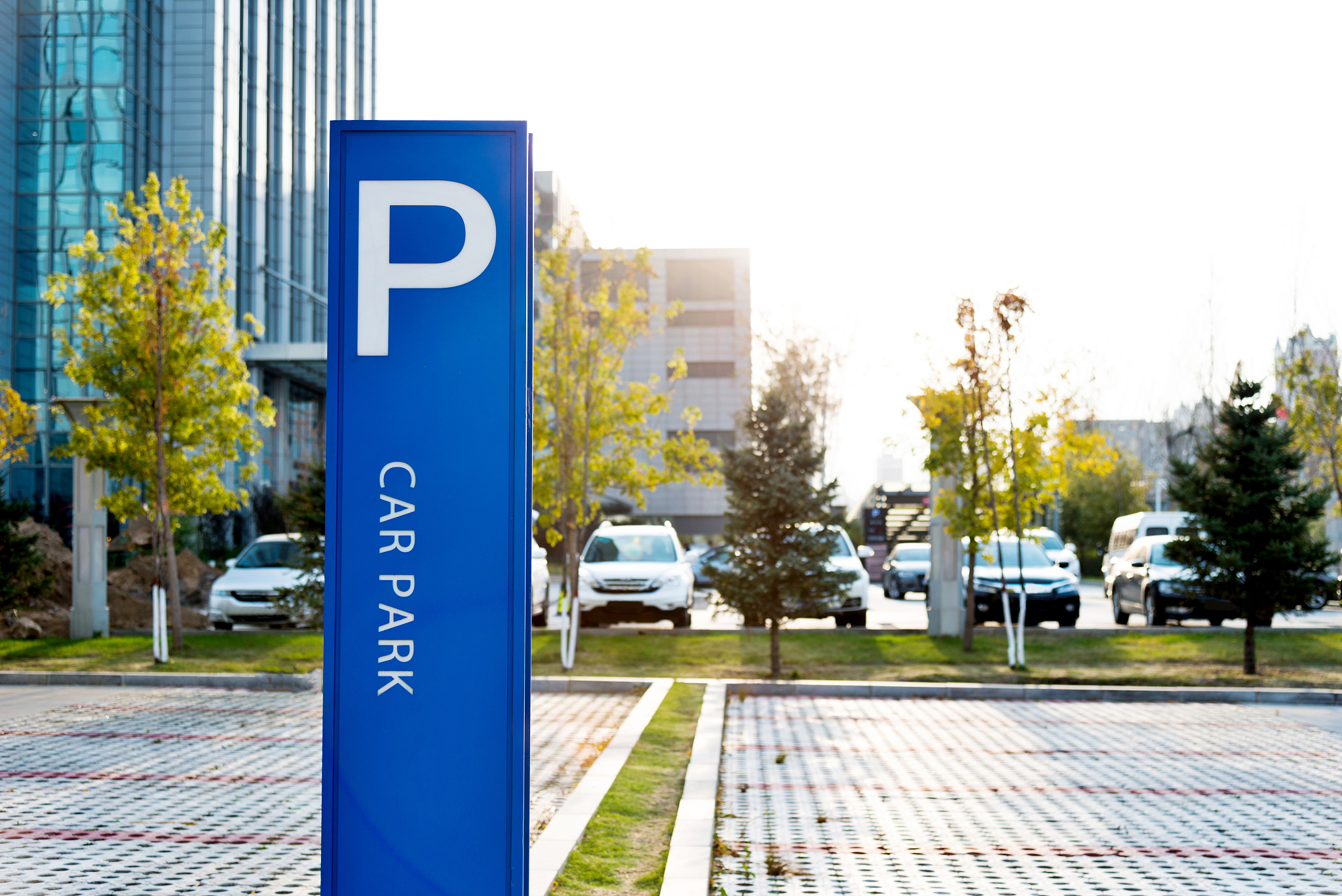 a blue parking sign beside the road