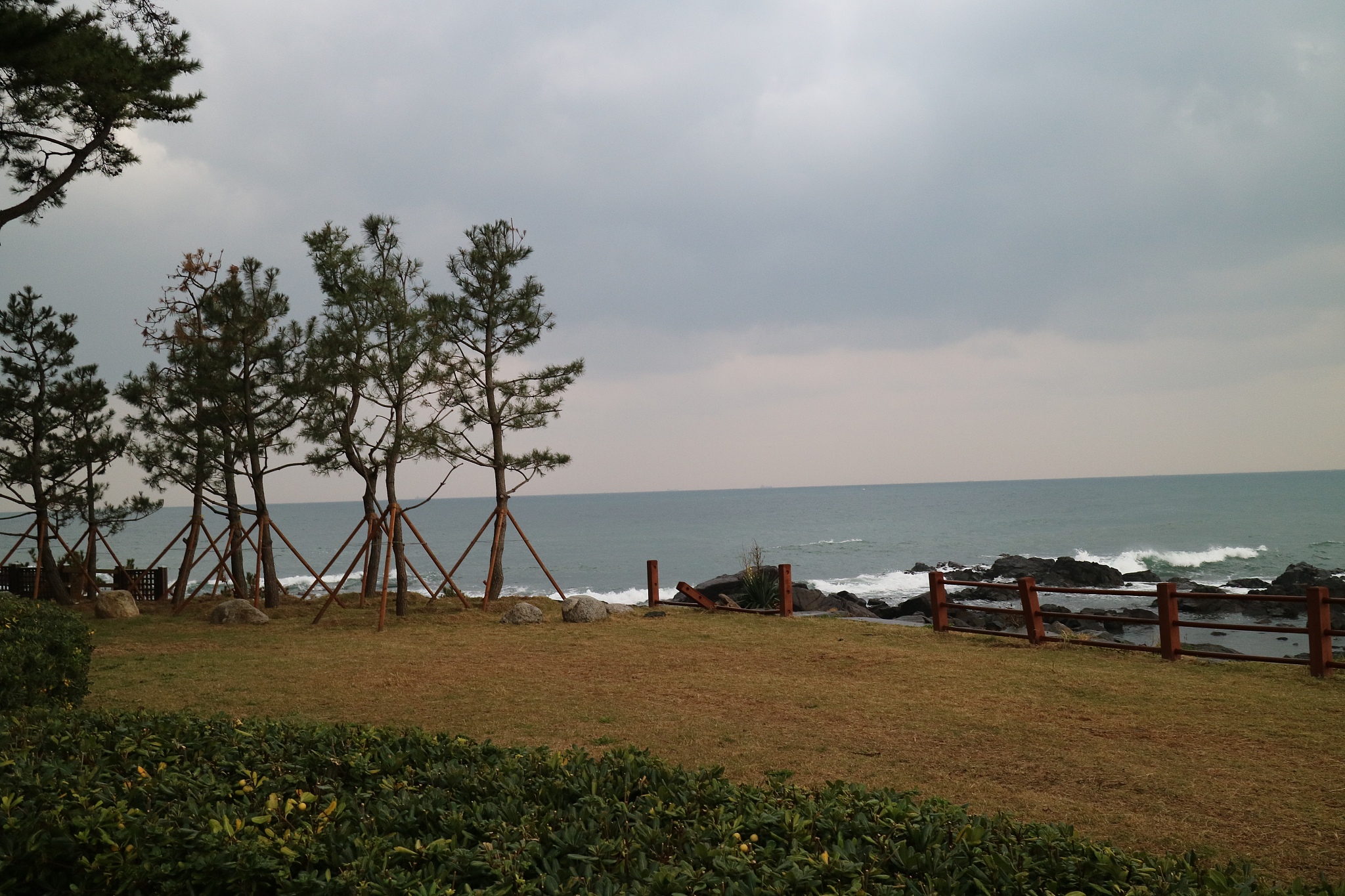 厦门周末五缘湾湿地公园游记