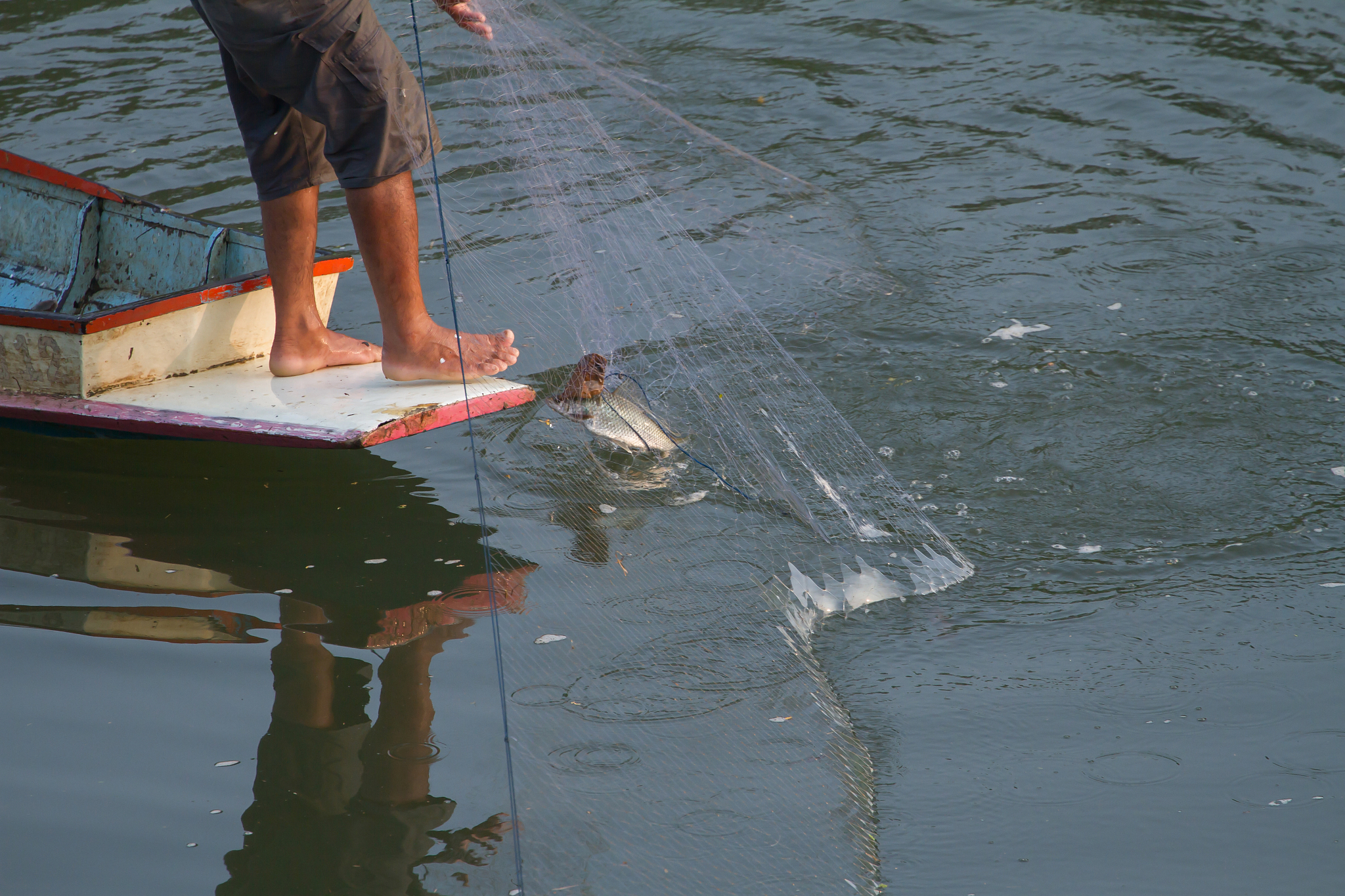 fishermen are catching fish with nets.