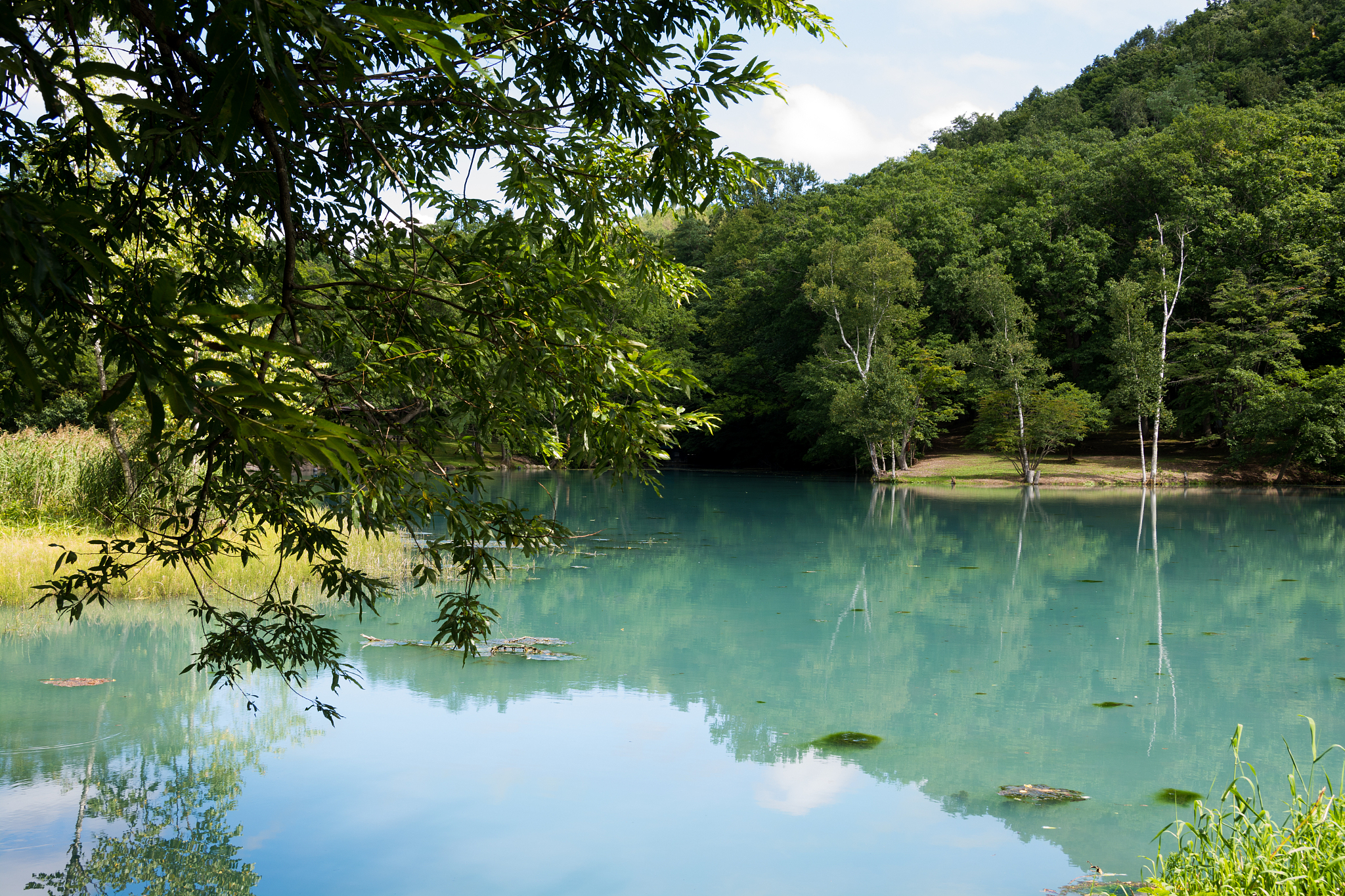 blue water pond