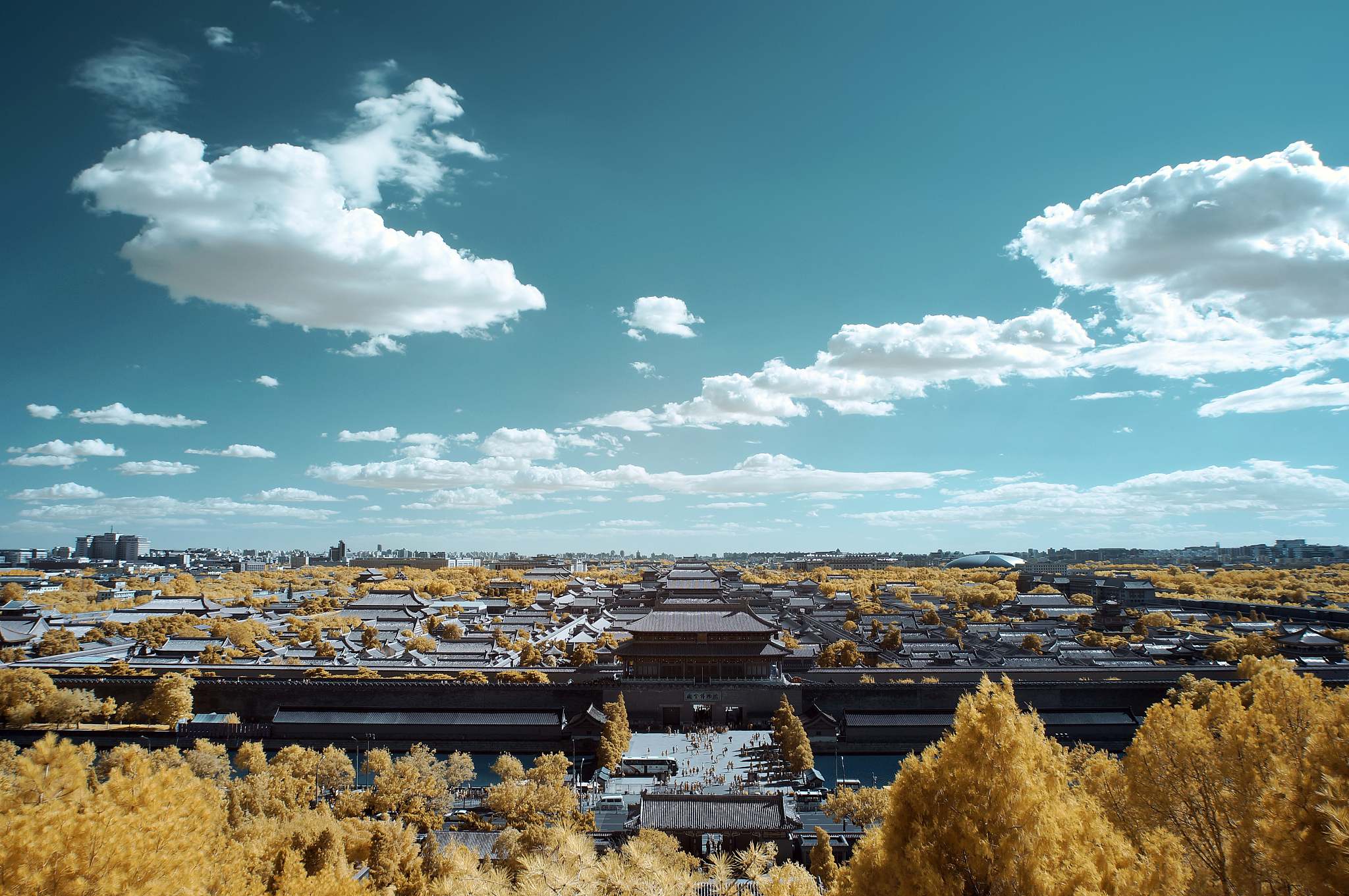 衡山县职业中等专业学校2021年有哪些专业