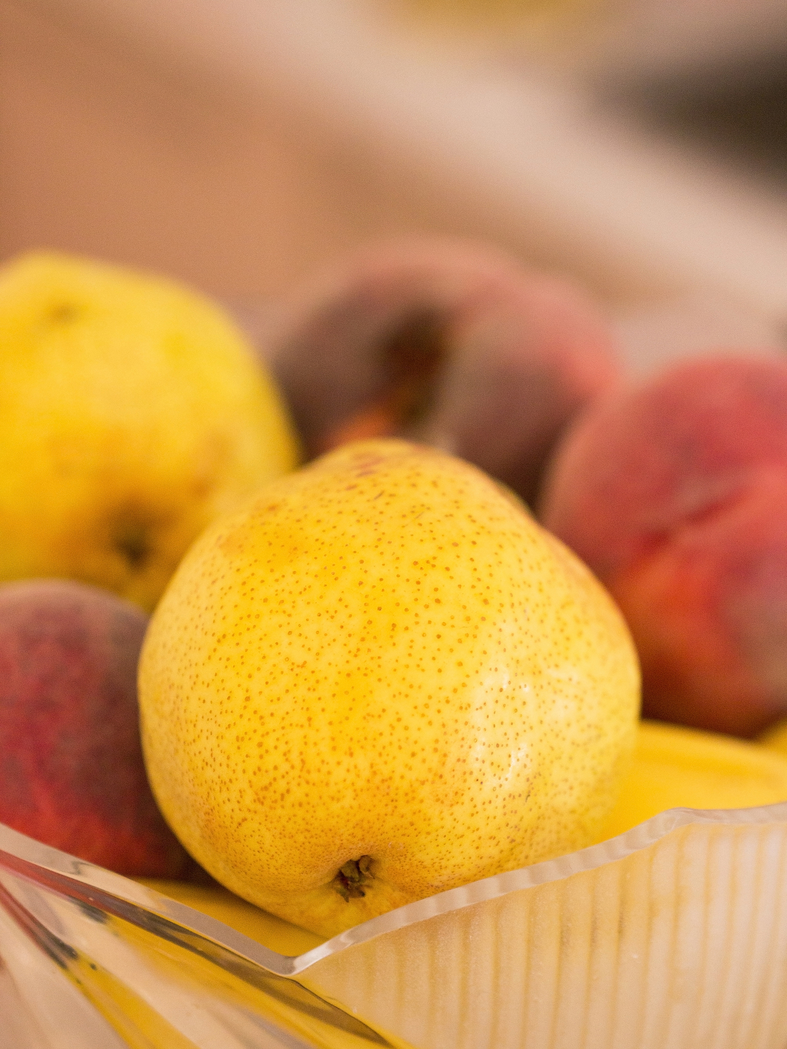 梨和桃果实采后腐烂病害病原菌分离鉴定计划