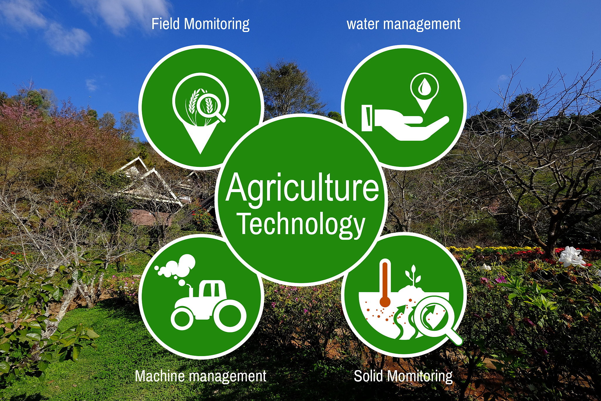 In the model I also address the question of the tolerance to herbivory even when it isnot exactly compatible with its ‘classic’ definition which defines this trait as the capacityto repair tissues aft