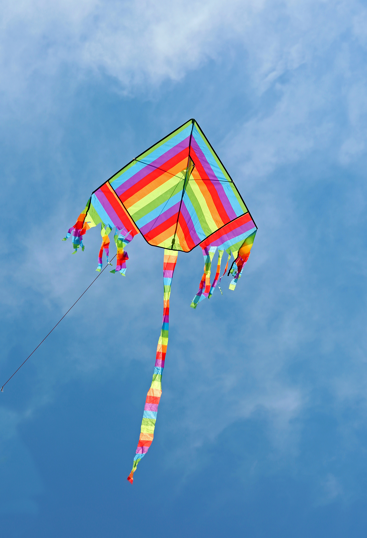 kite with the colors of the rainbow flies in the sky