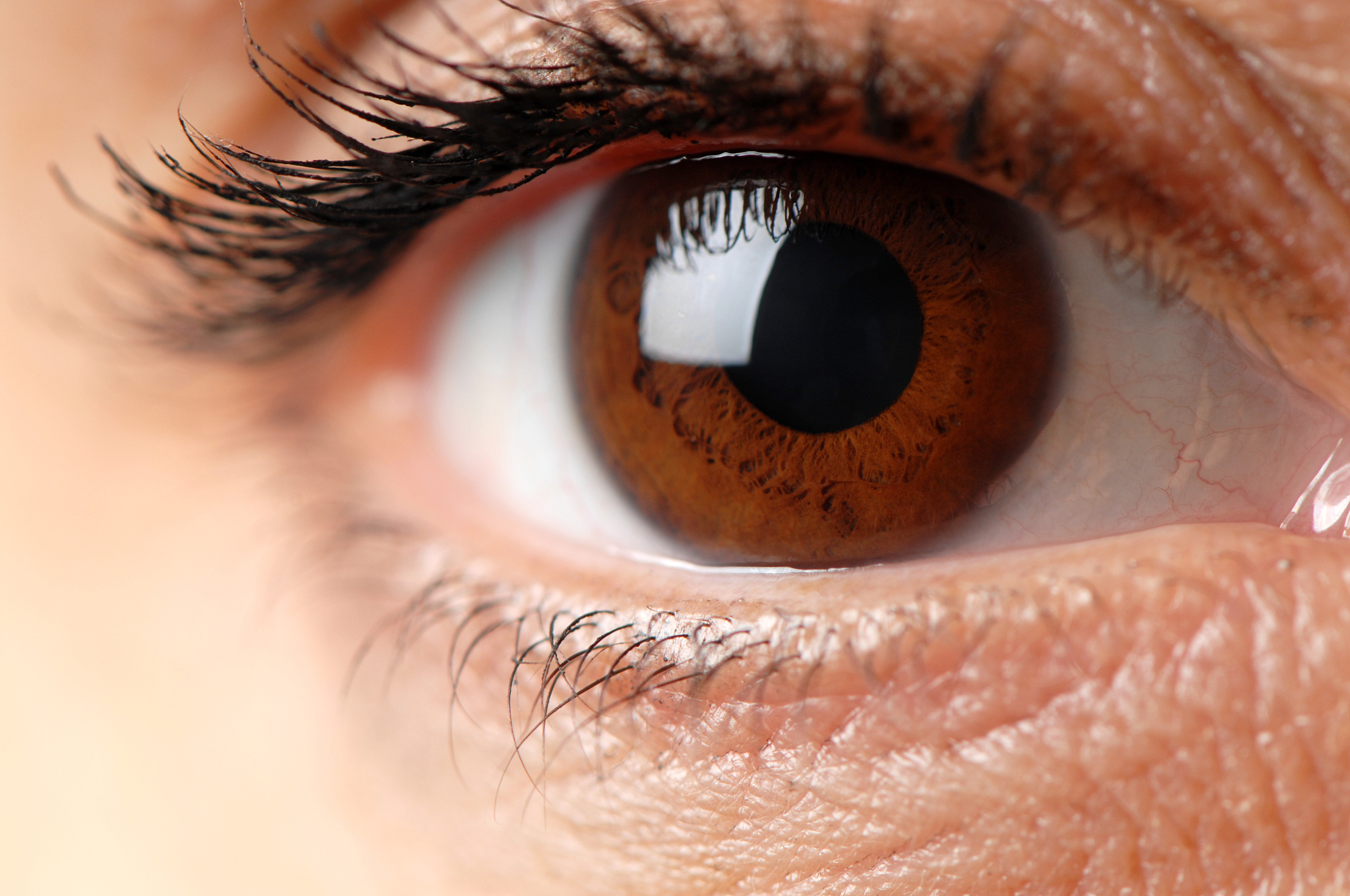 woman's brown eye close up