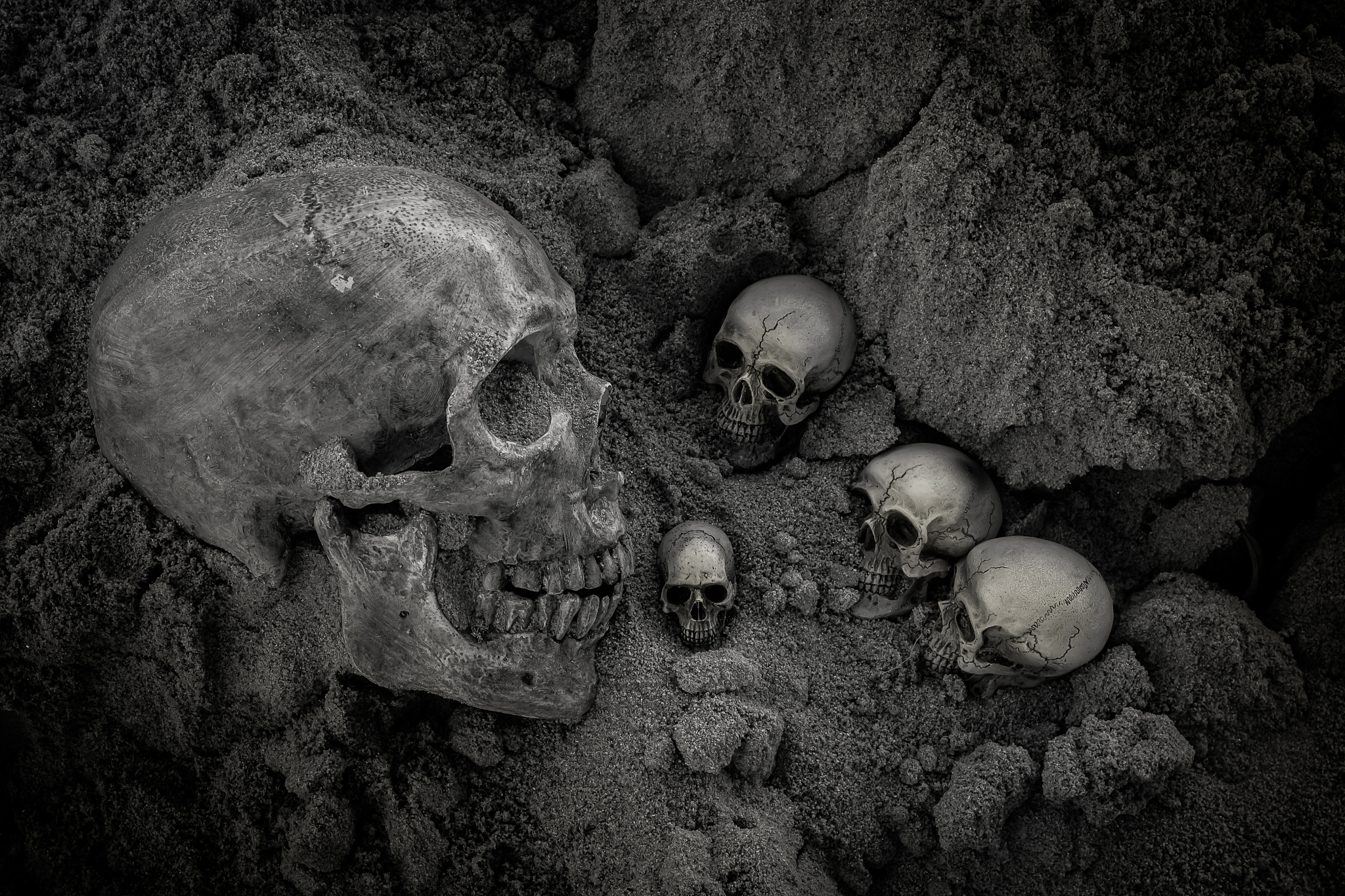 still life of skull