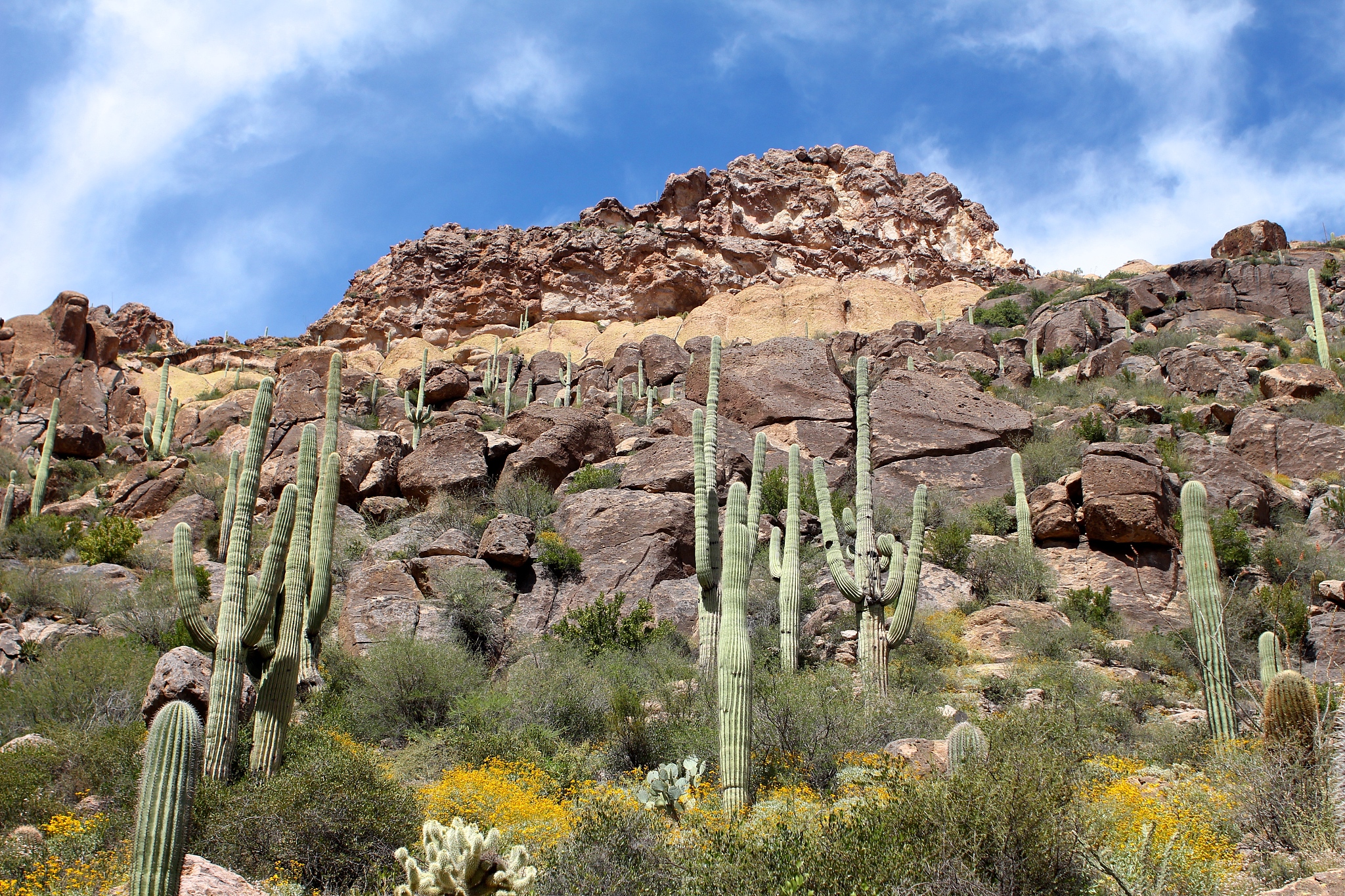 peralta trail
