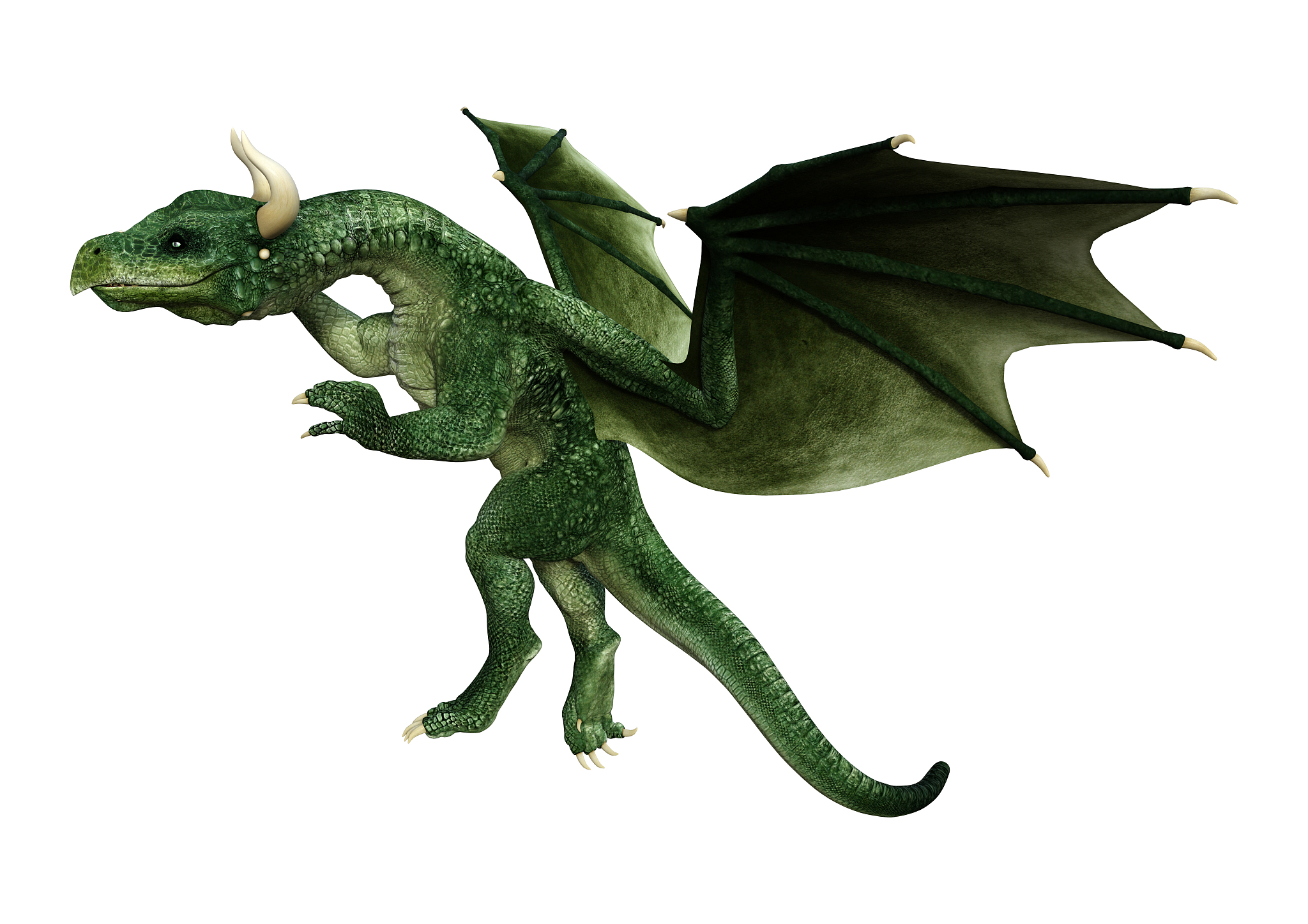 3d illustration fantasy dragon on white