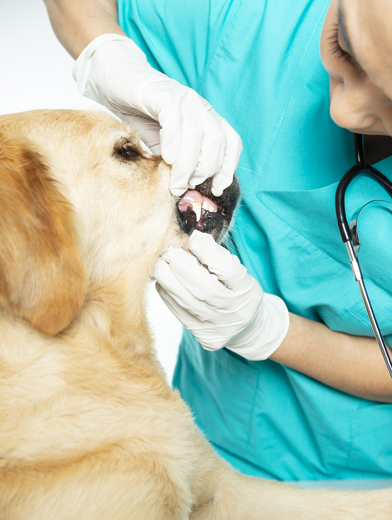 遵义职业技术学院畜牧兽医专业怎么样