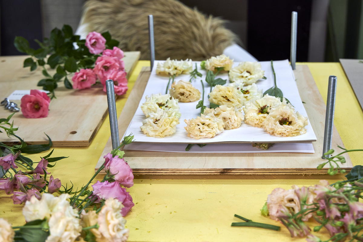 鲜花怎么醒花？3种方法让花朵焕发生机