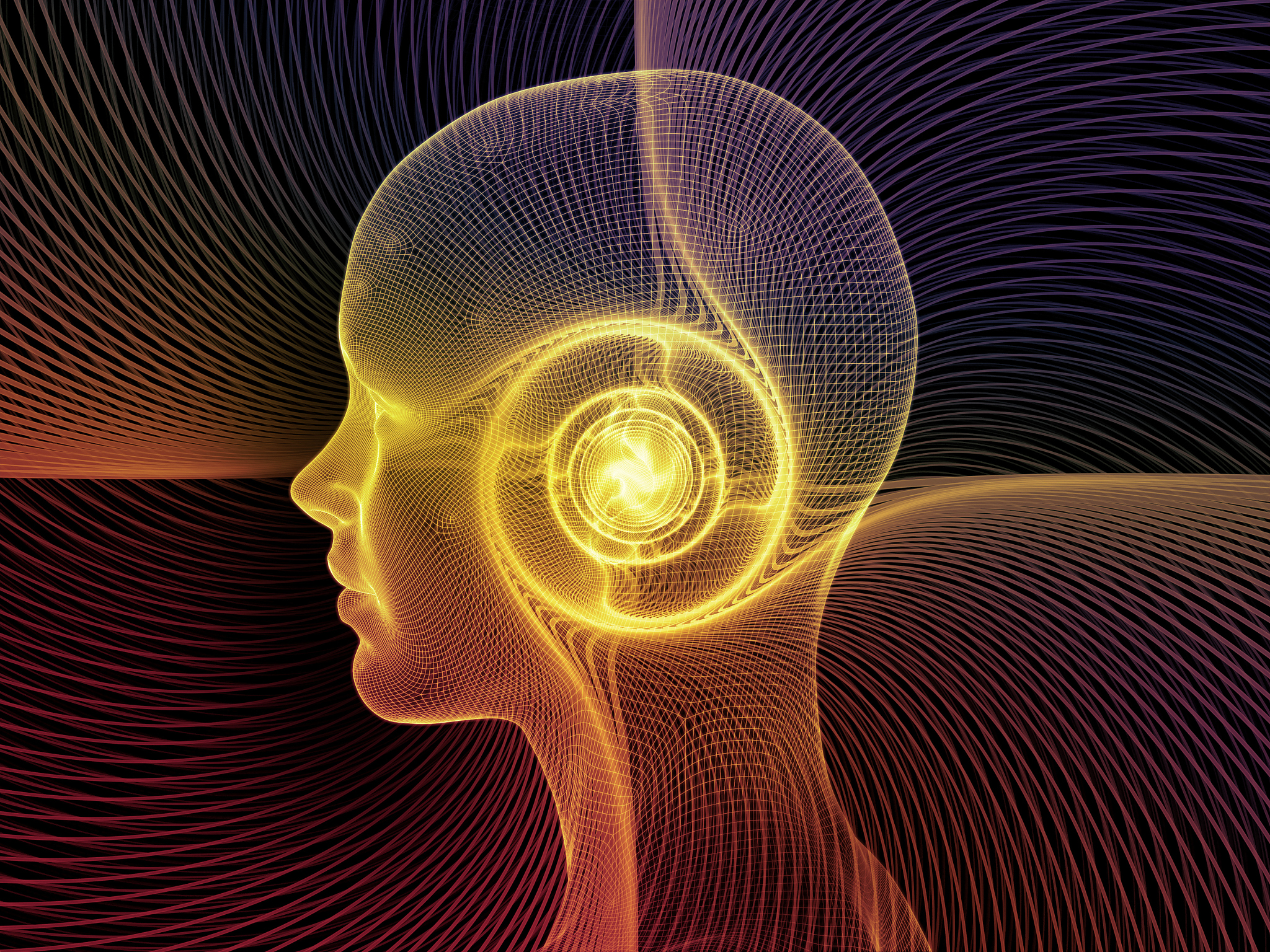 人类：智慧与自我意识的生物