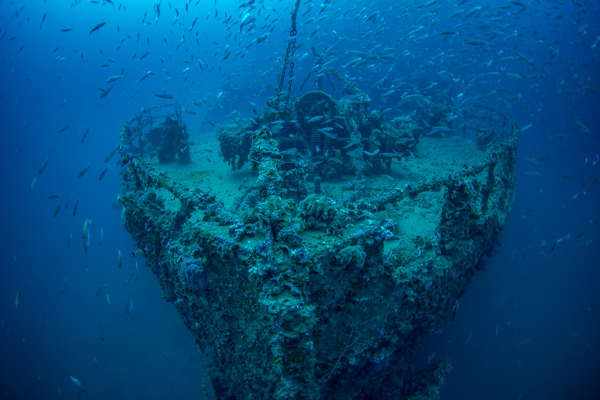 wreck of steamship vis
