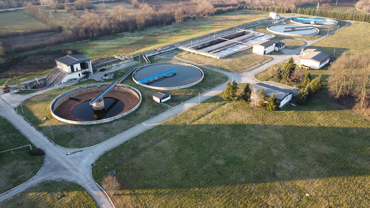 人工湿地前沿综述