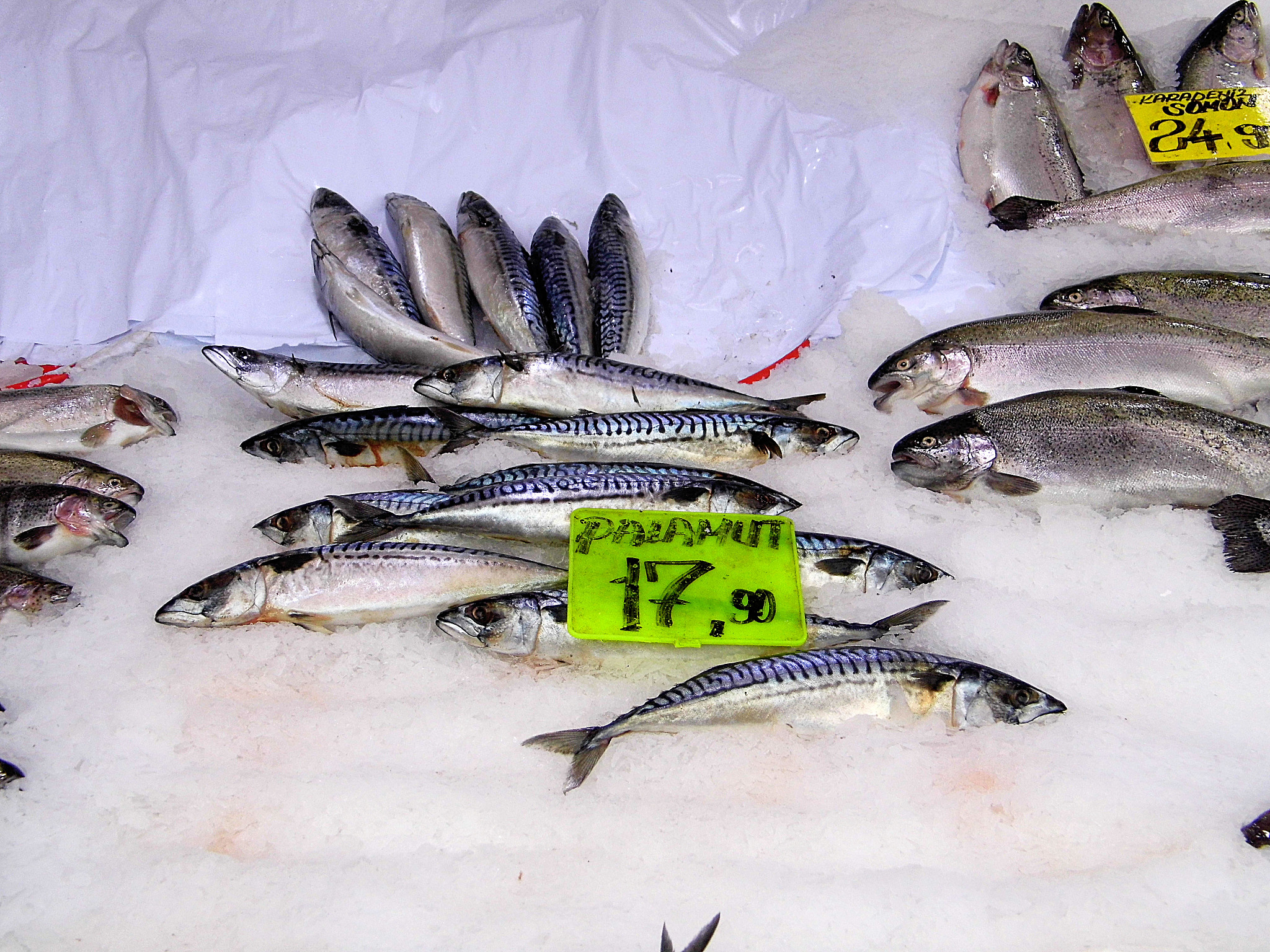 鱼钩 叉尾鮰 海鲈鱼 和湄公鱼哪个刺少