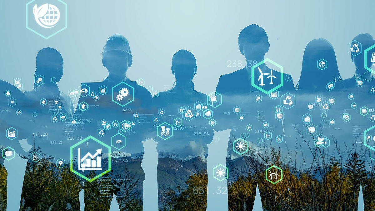 影响政策制定的关键因素解析