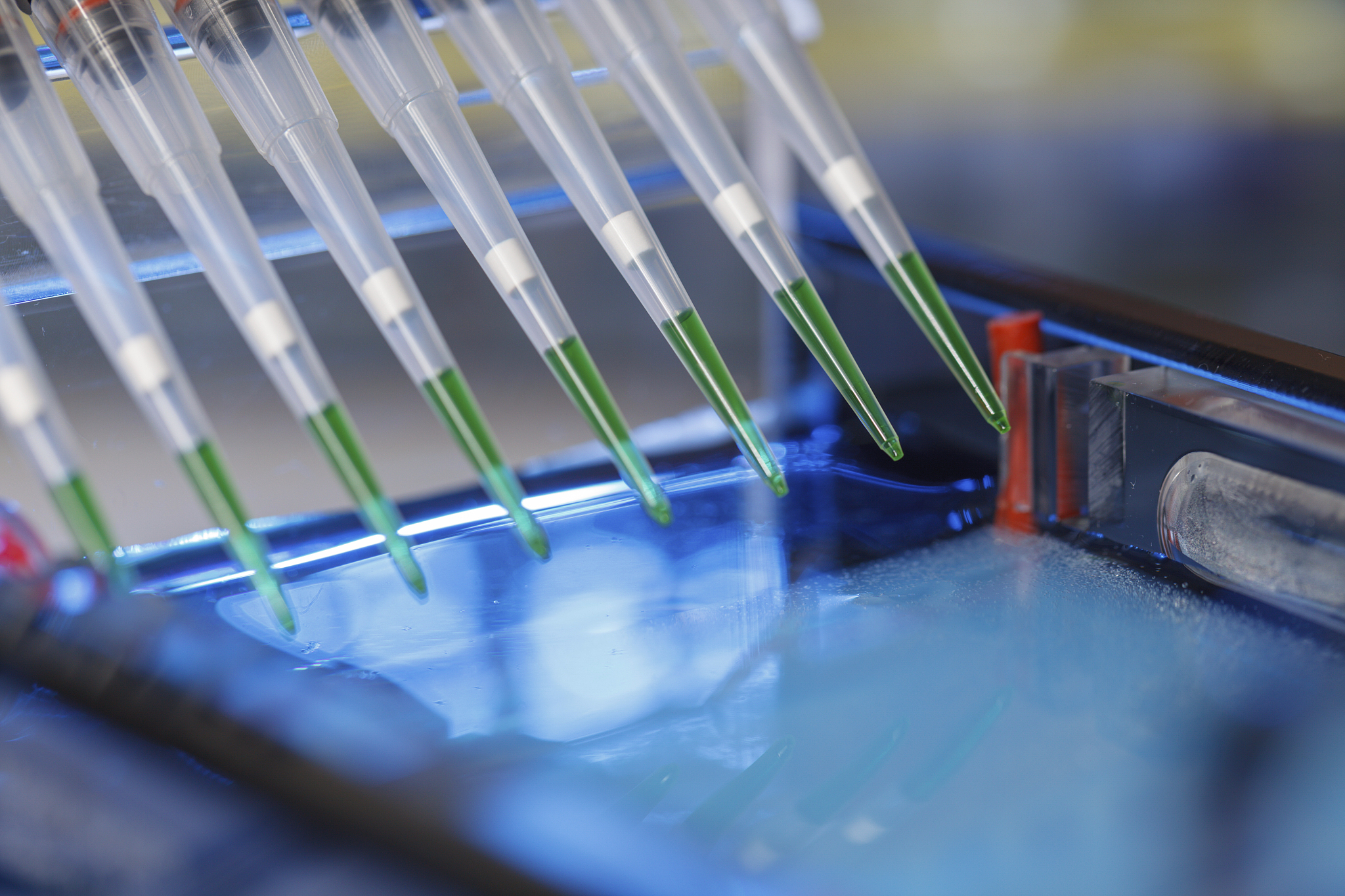 DNA单链断裂的数量怎么检测