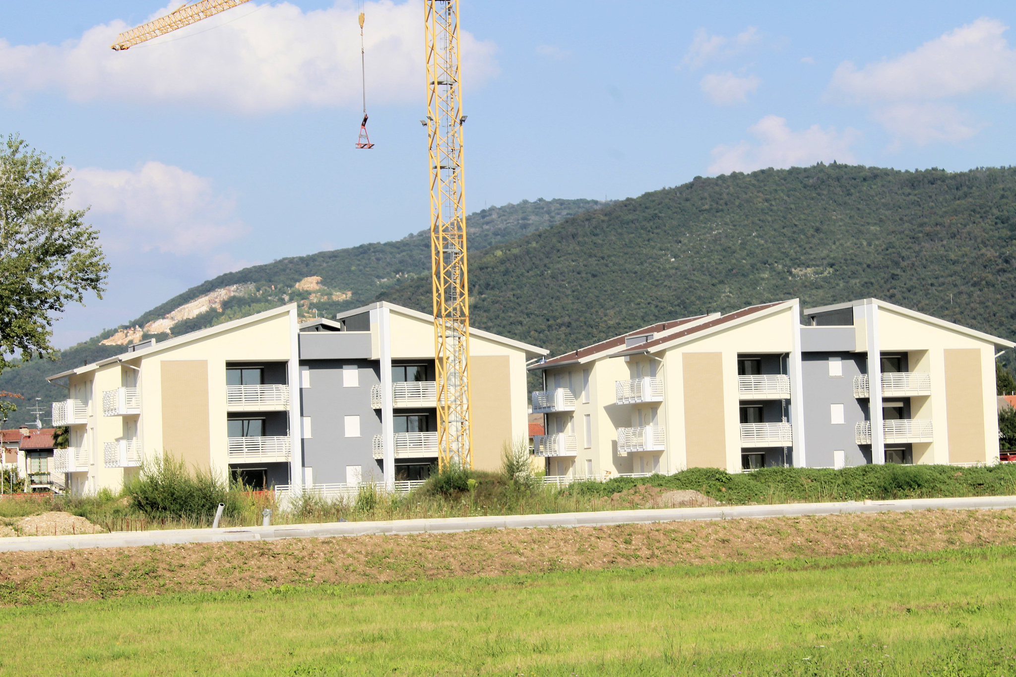 福建林业职业技术学院木材加工技术专业课程设置有哪些