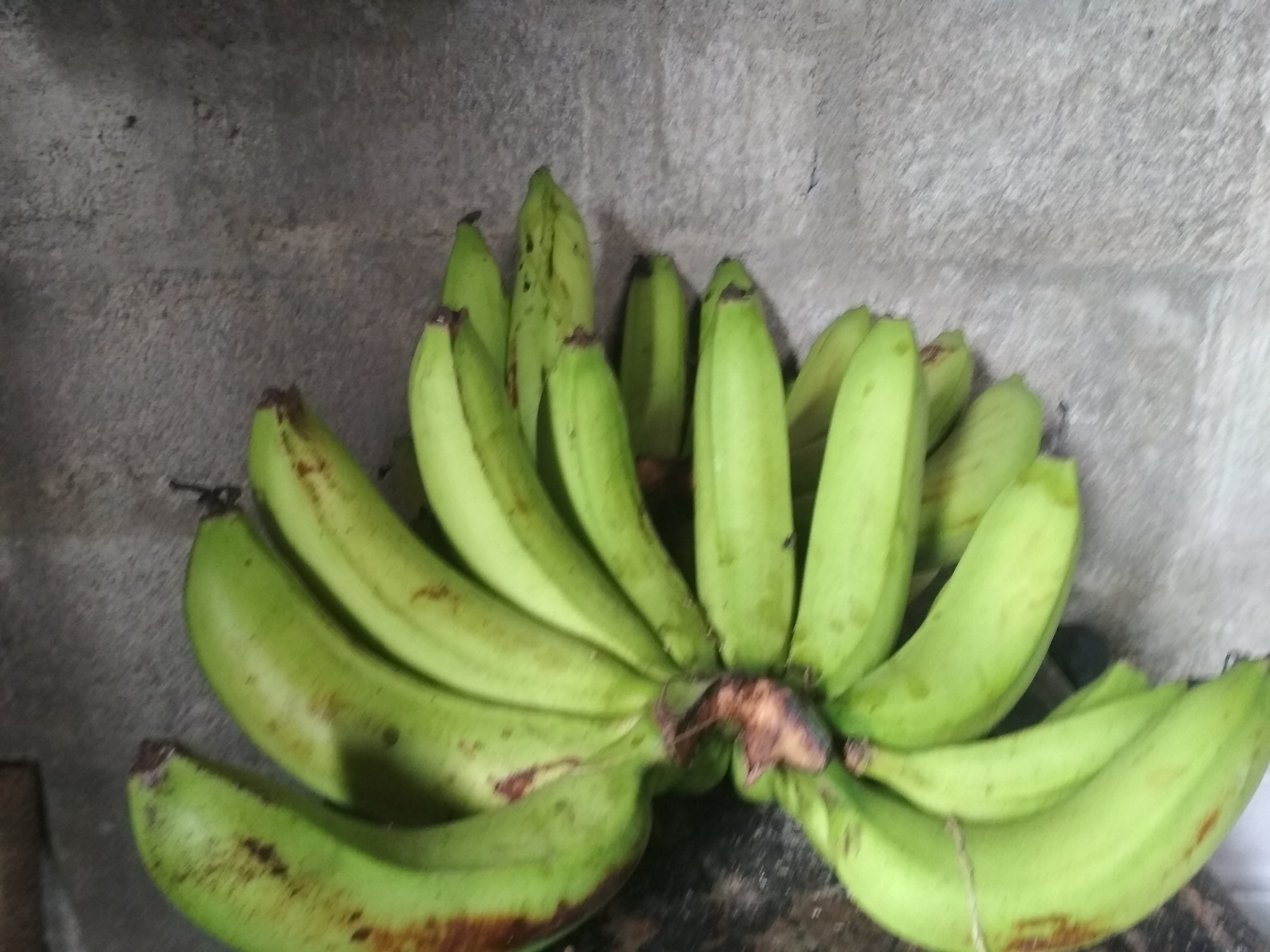 我因为喝中成药可能会缺钾我应该在平日怎么补充钾