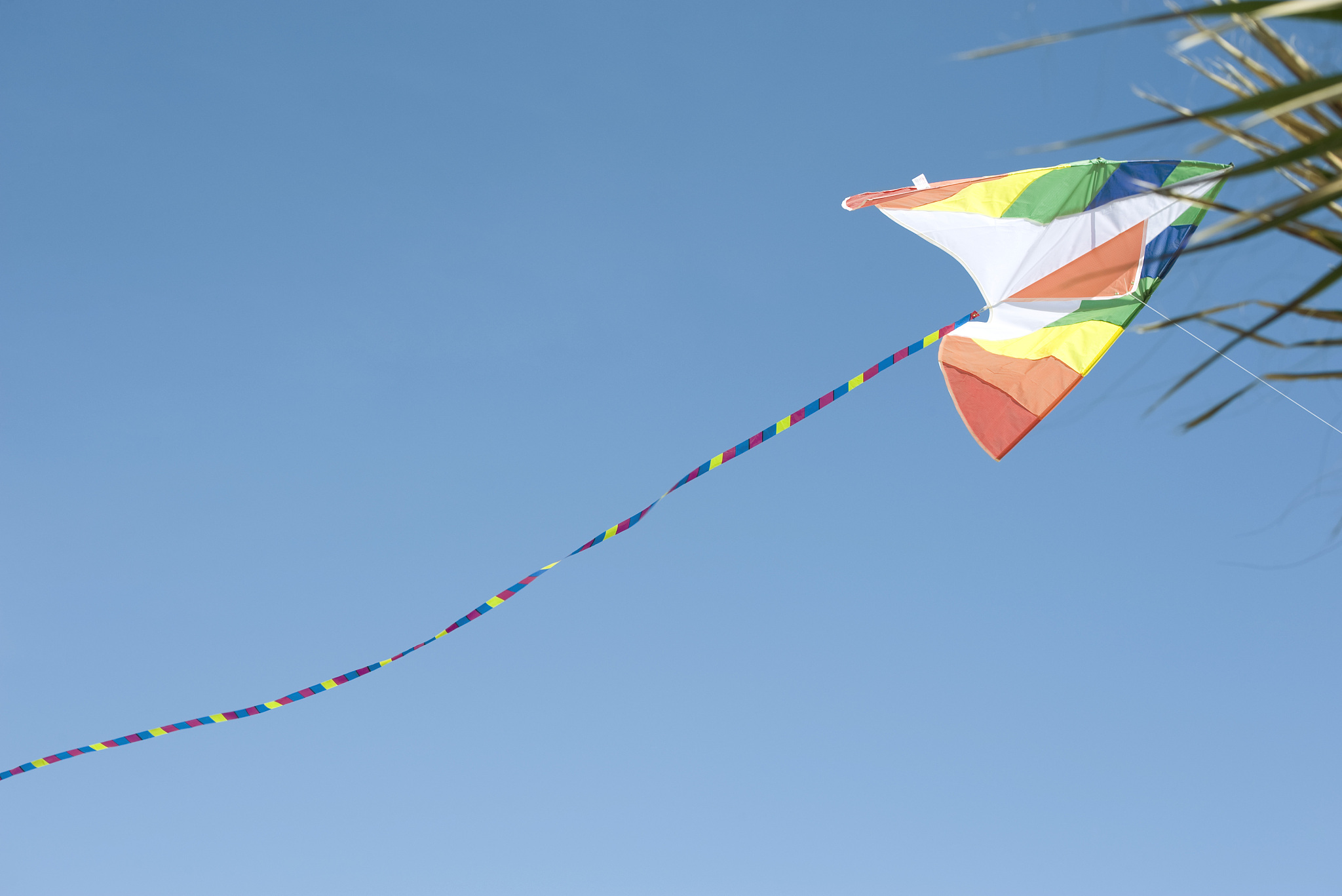 colorful kite in midair