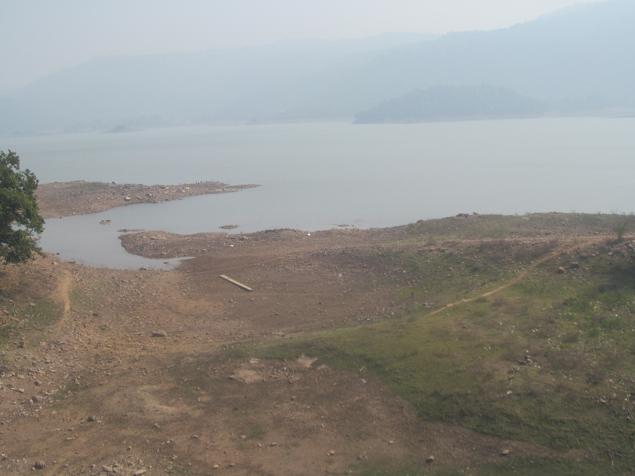 水库和国家公园的自然保护方式有什么不足