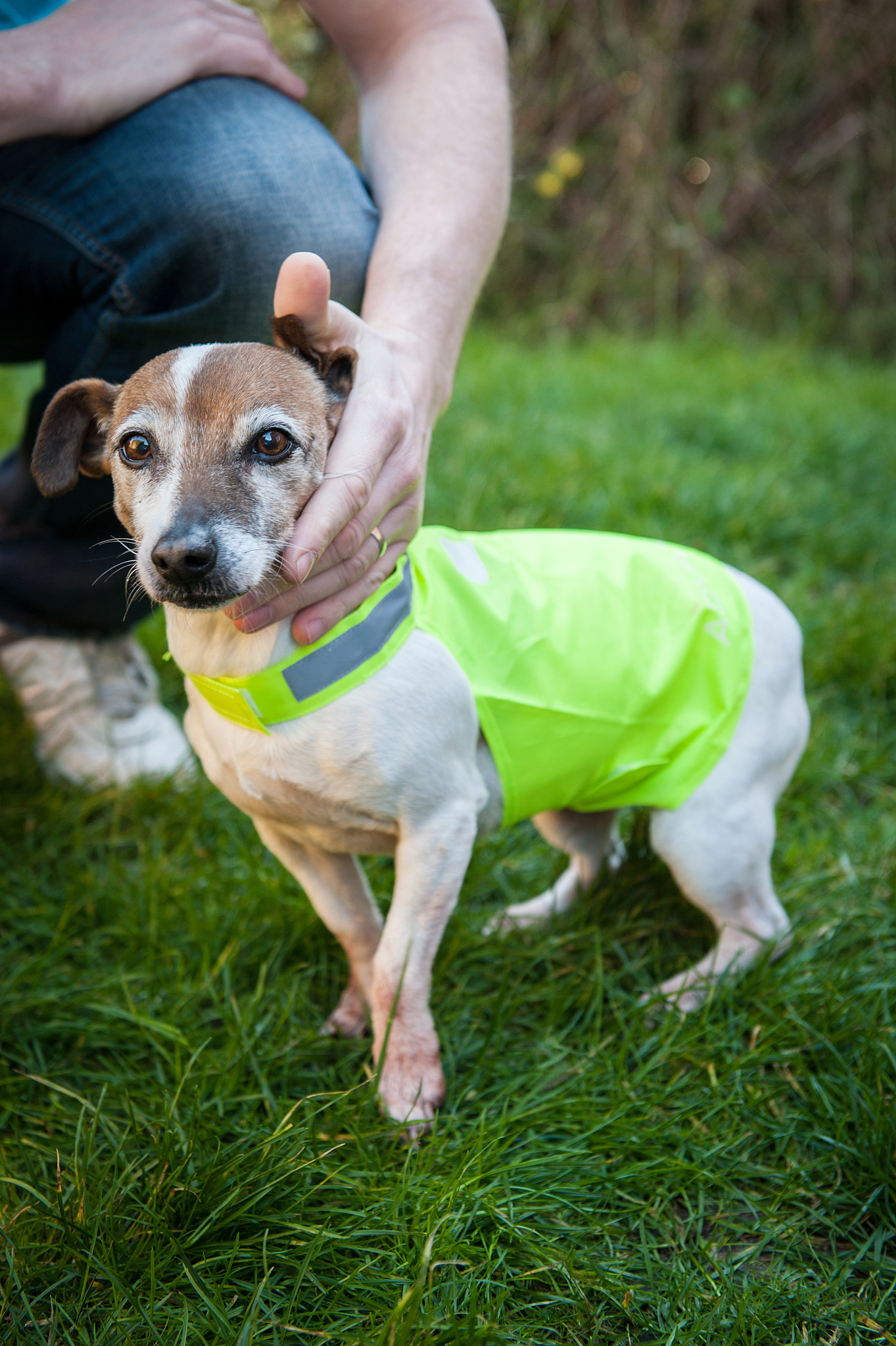 贵阳航空学校：想带宠物上飞机怎么办