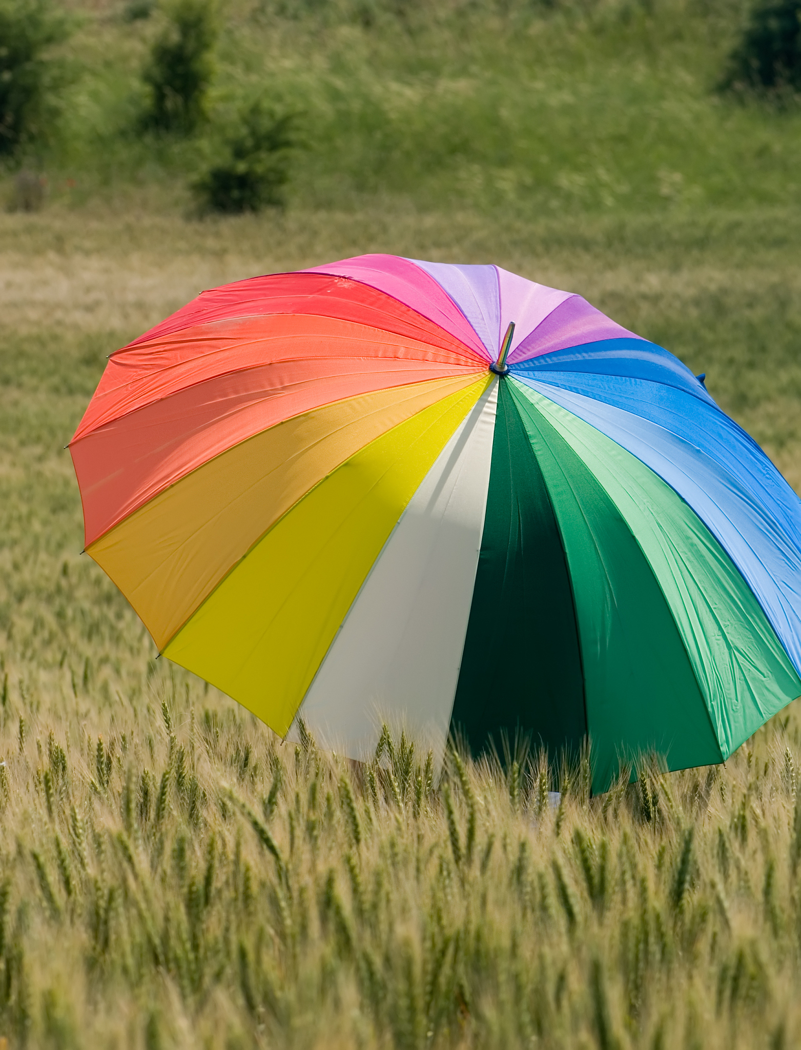 colorful umbrella