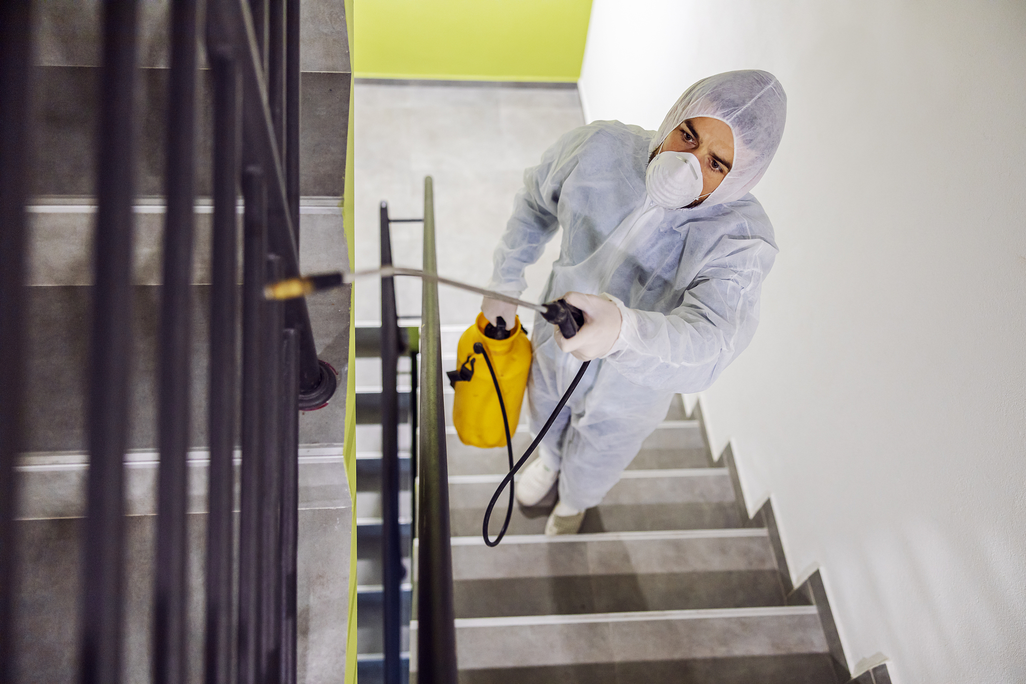 sanitizing interior surfaces. cleaning and disinfection inside b