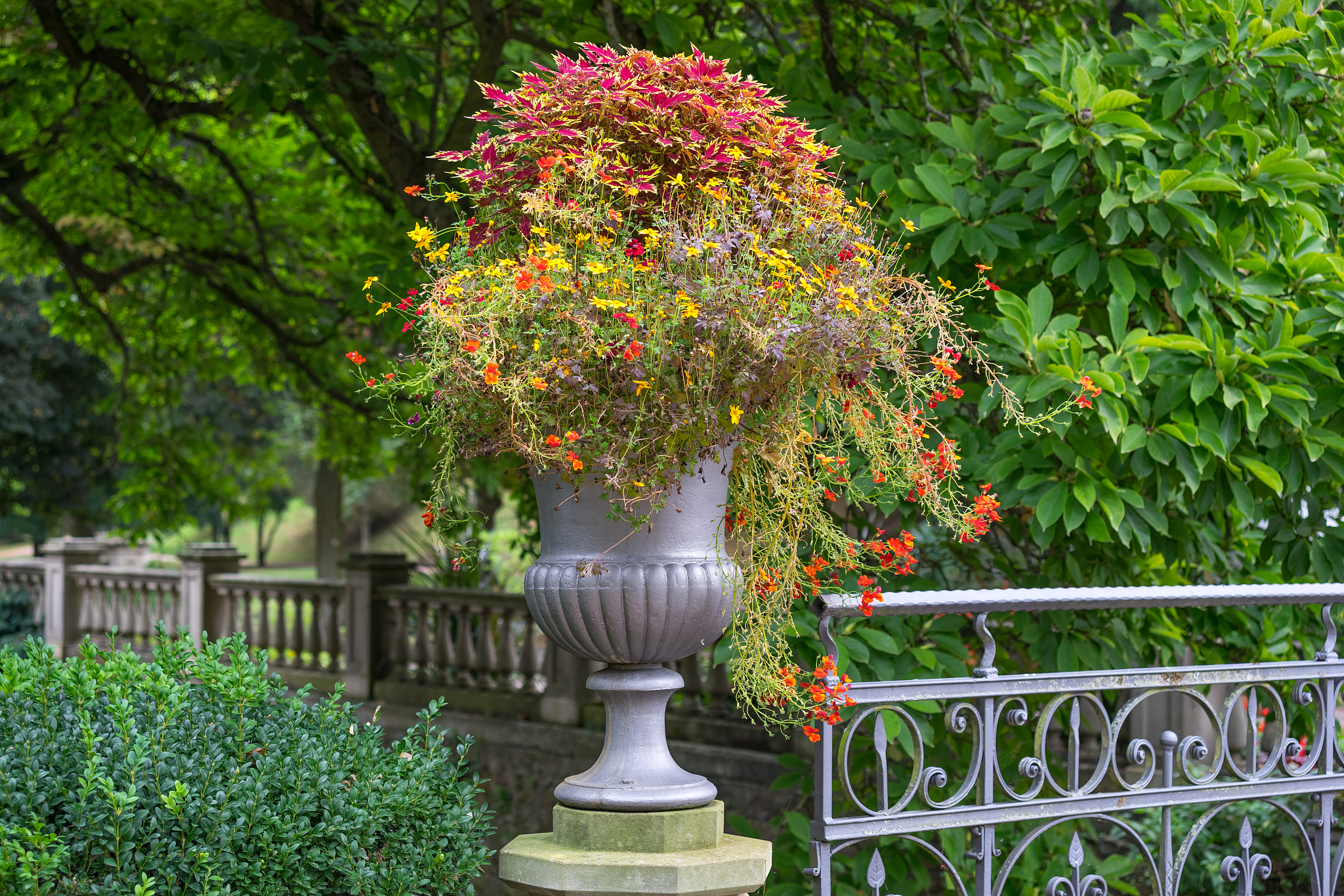 江西工程职业学院园林技术专业课程设置：涵盖设计、栽培、艺术等领域