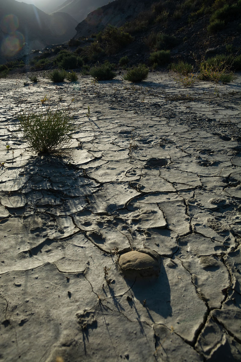 为什么温带草原带先东南走向后西南走向