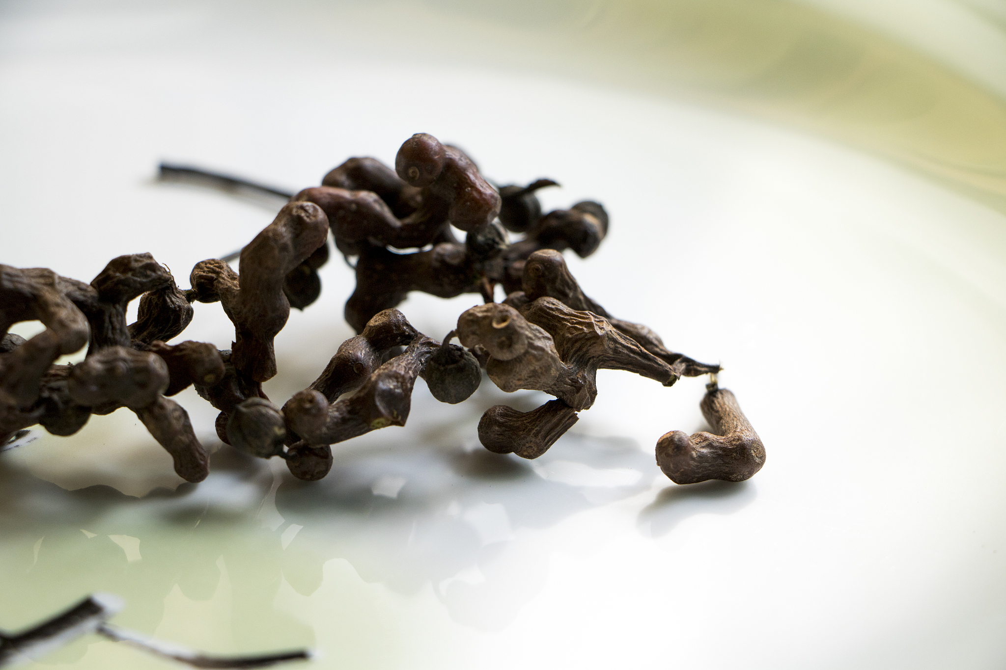 10种拥有明确临床数据的中药及其功效