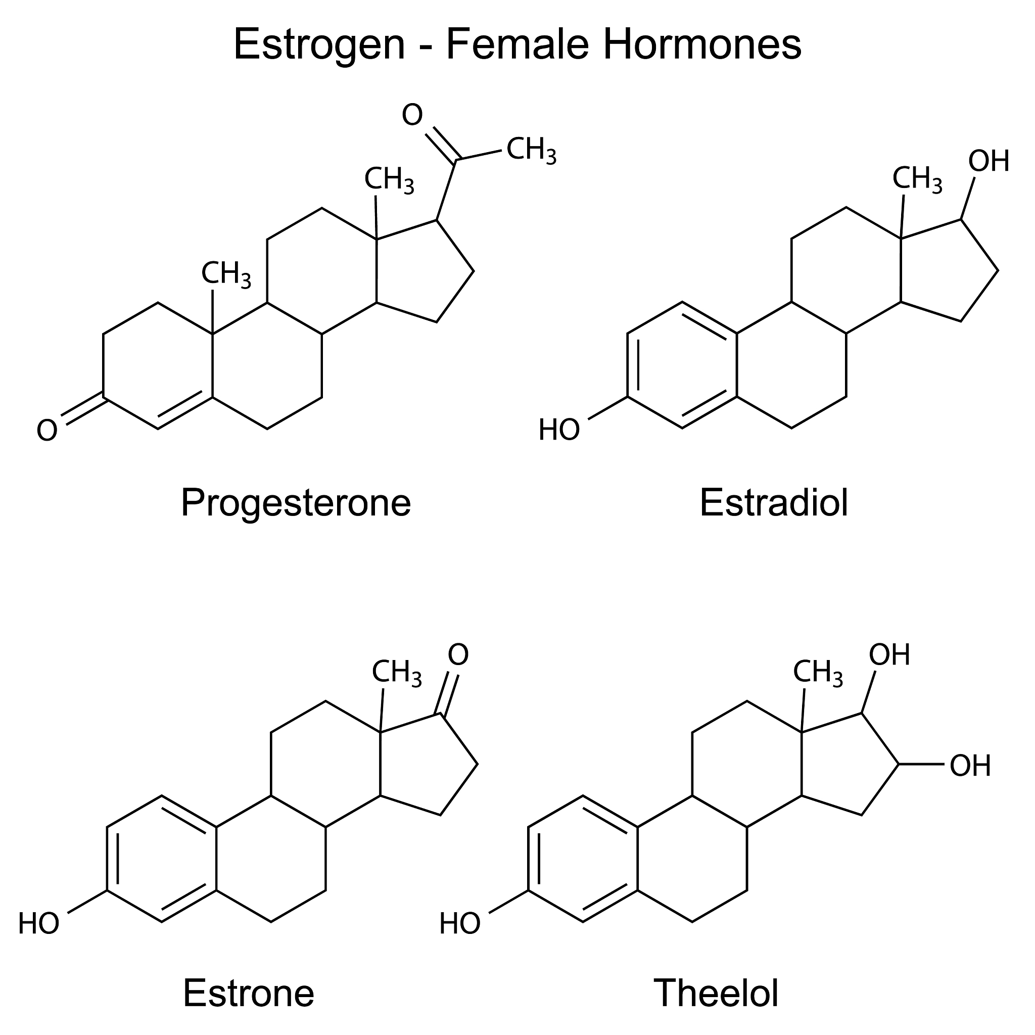 Thymeleaf th:id Attribute: Dynamically Set HTML Element IDs