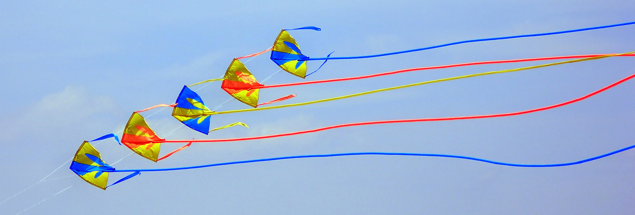 flying kites