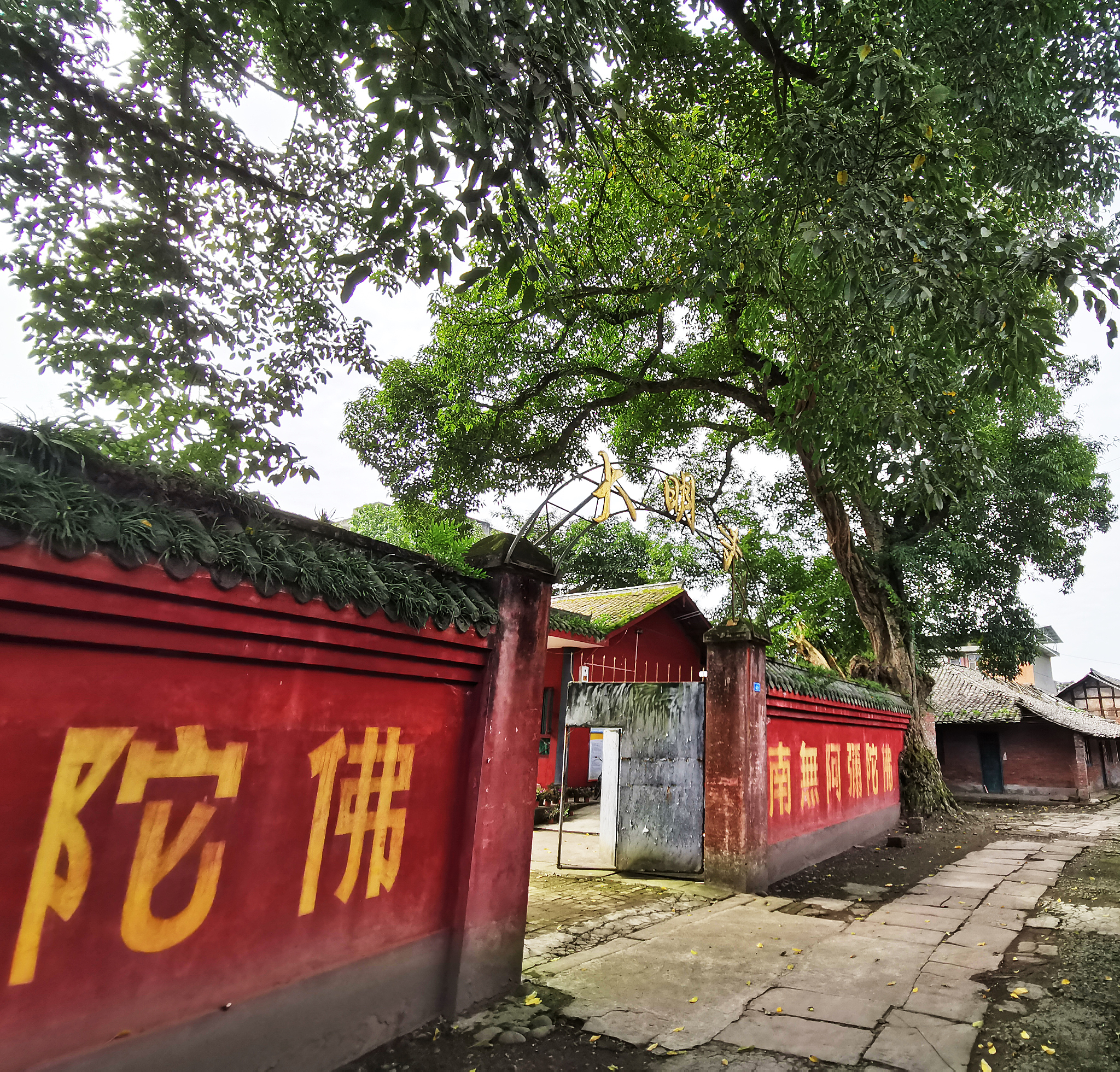 四川中专学校专业大全：热门专业及特色介绍